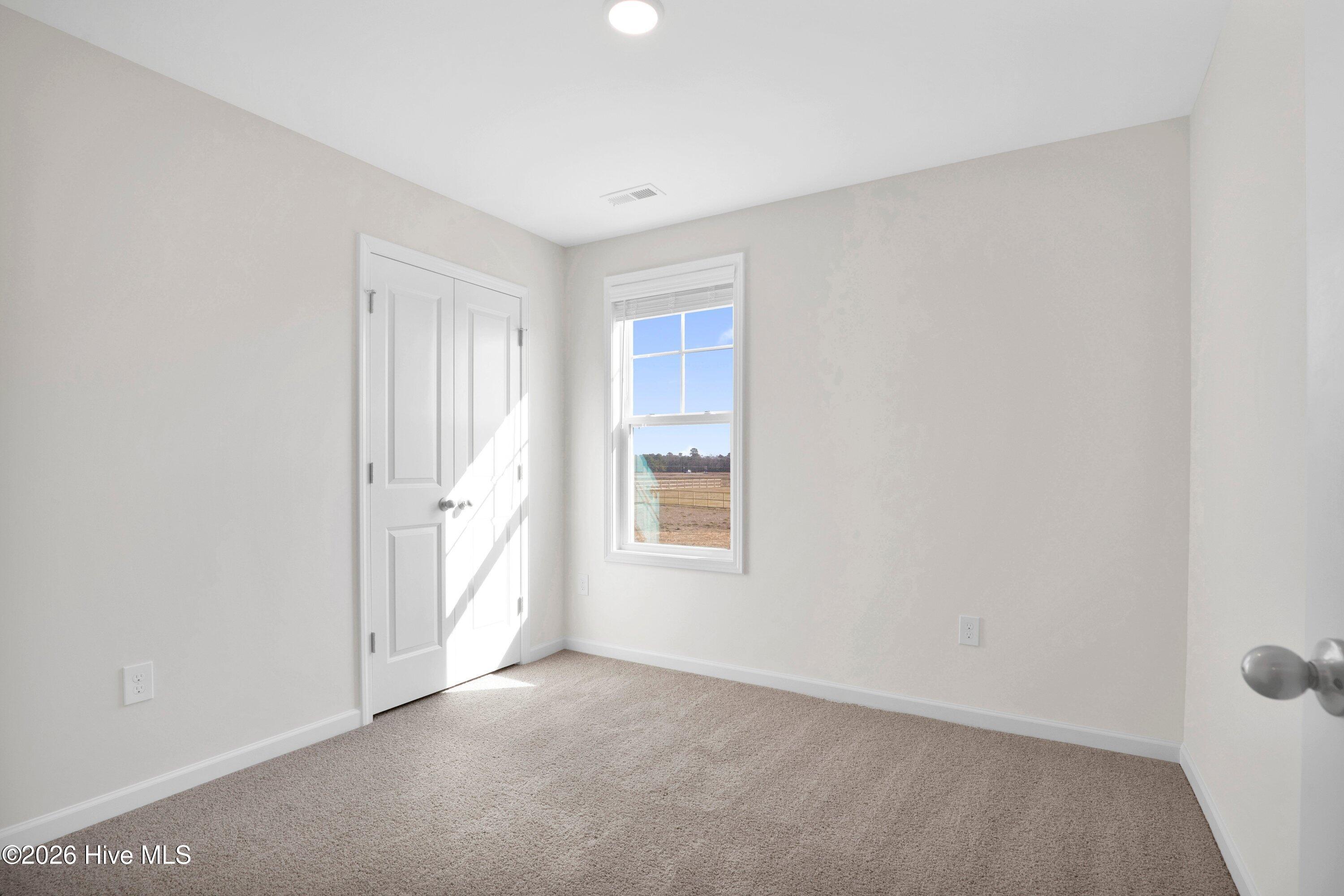 208 Buggy Top Lane Property Photo 26