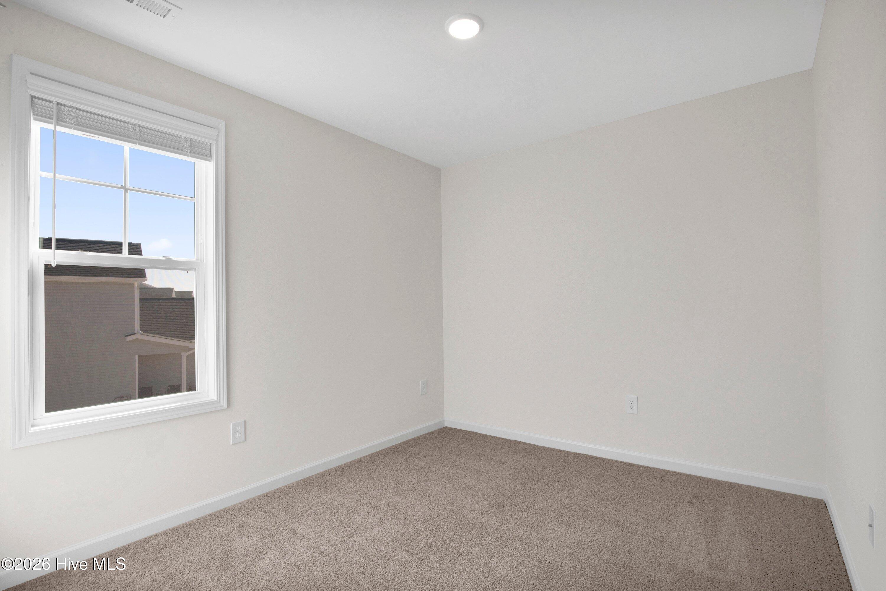 208 Buggy Top Lane Property Photo 28