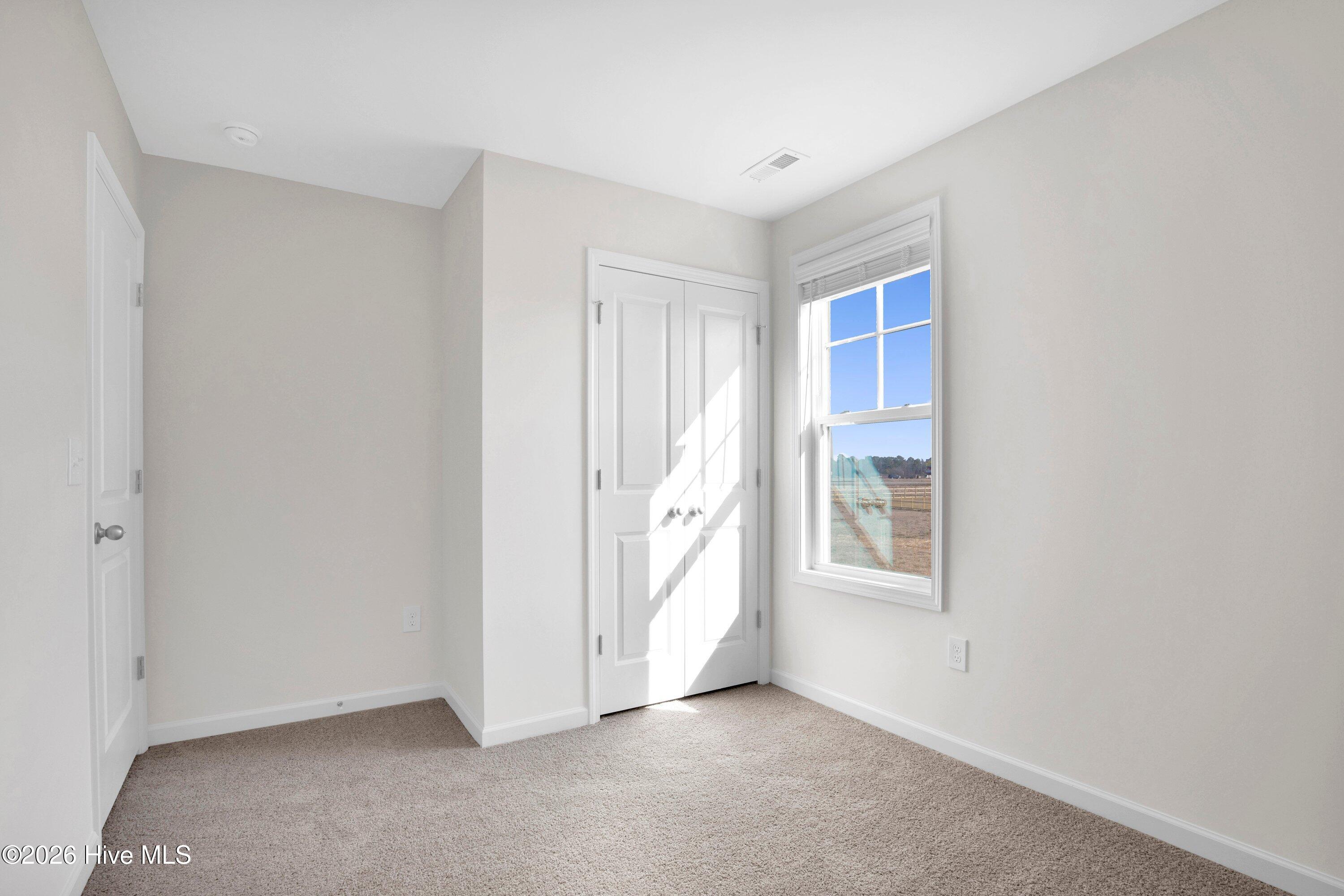 208 Buggy Top Lane Property Photo 29