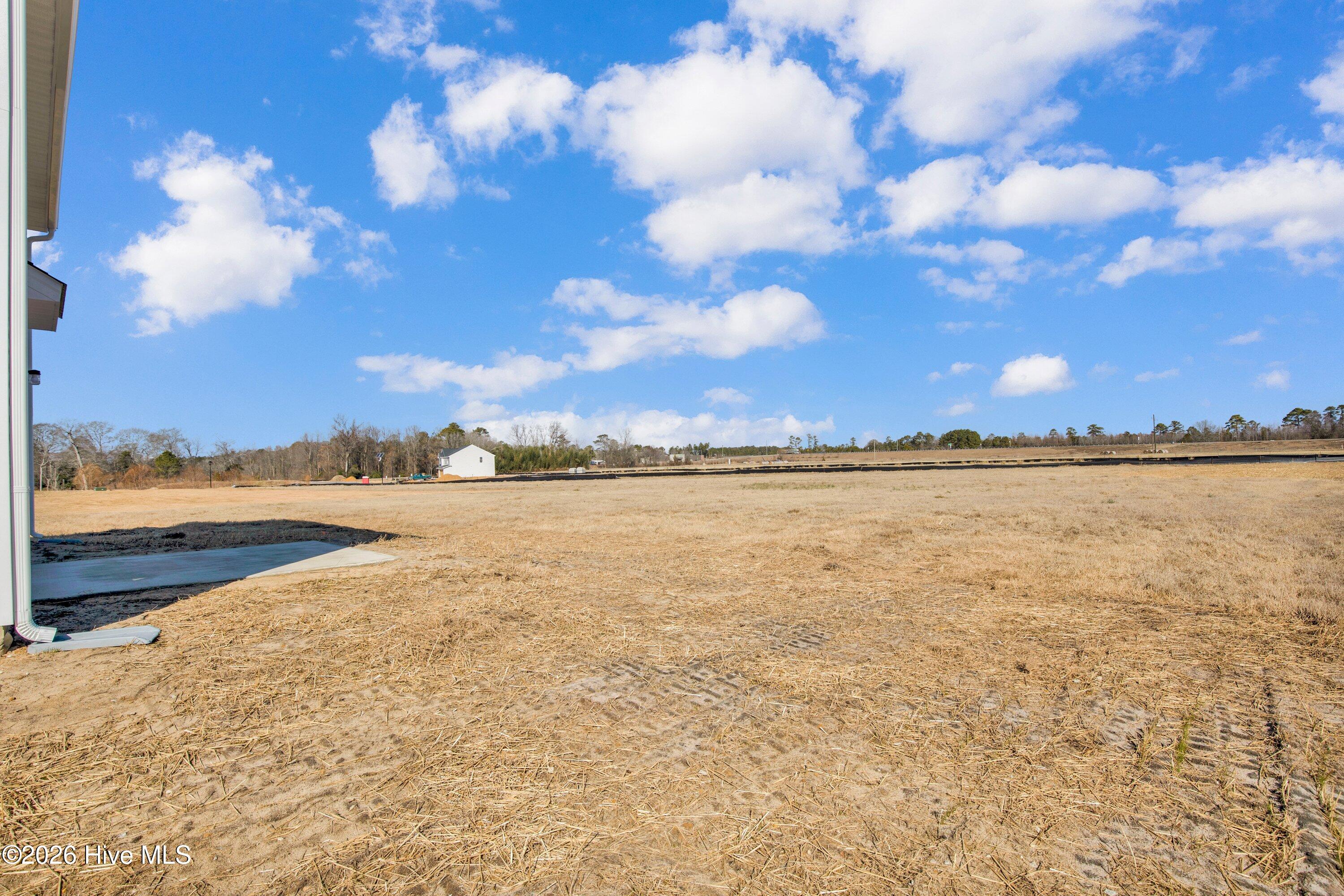 208 Buggy Top Lane Property Photo 34