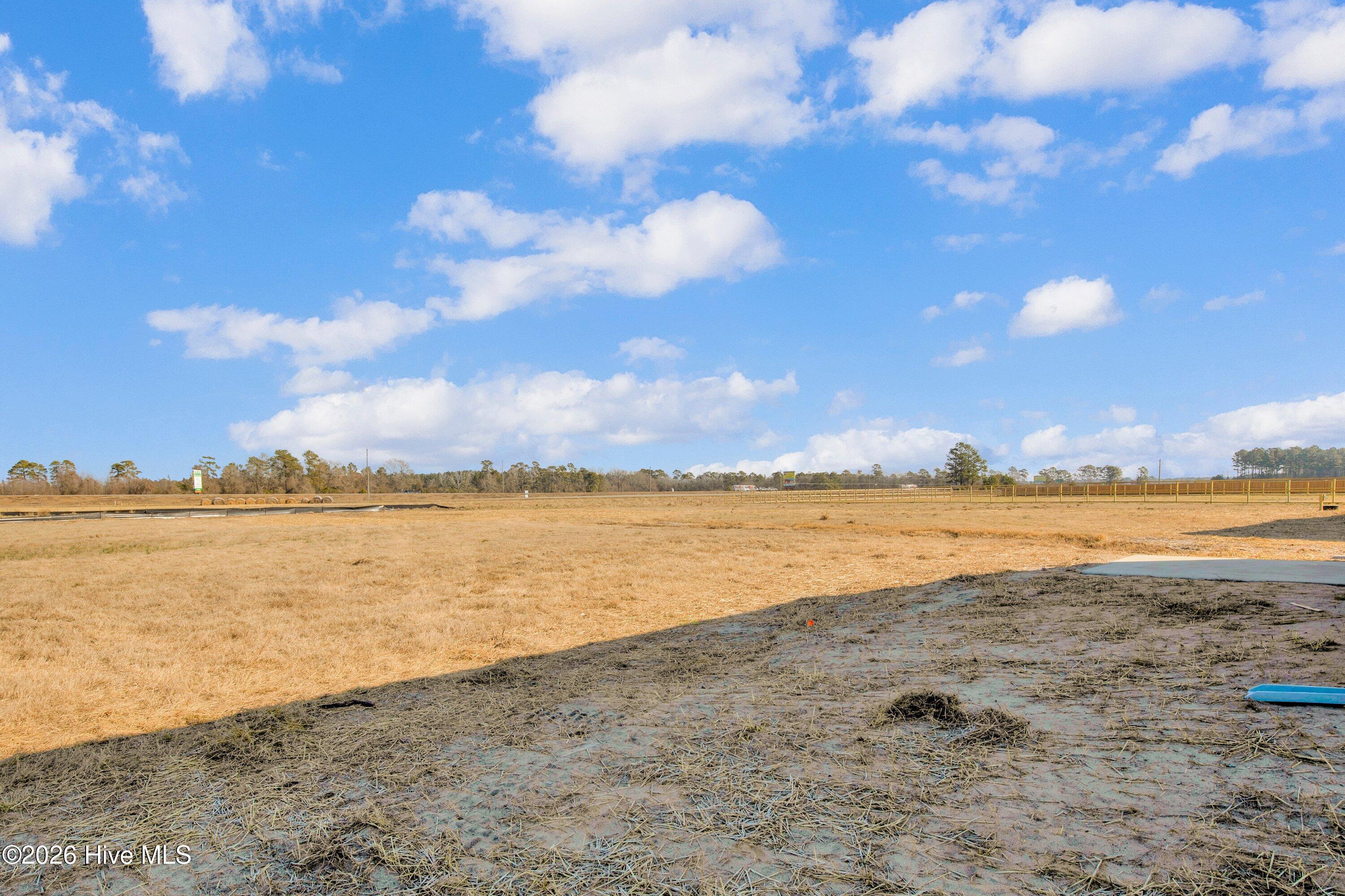 208 Buggy Top Lane Property Photo 40