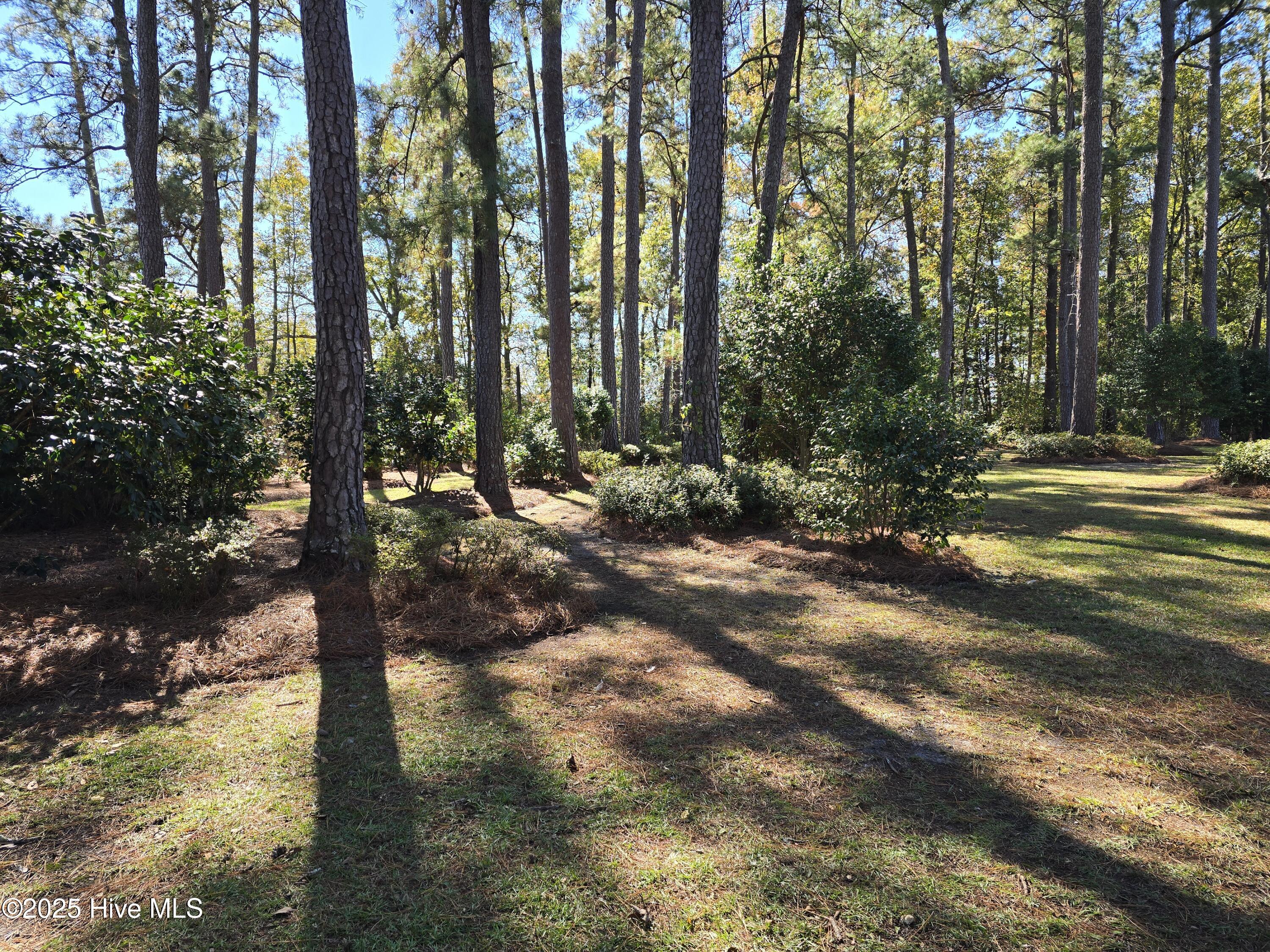 75 Pineland Woods Drive Property Photo 18