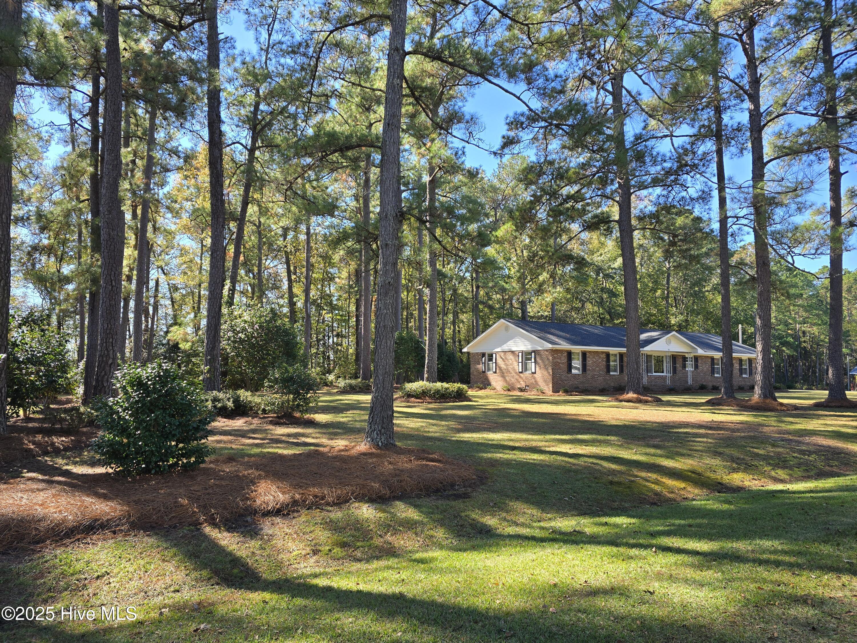 75 Pineland Woods Drive Property Photo 19