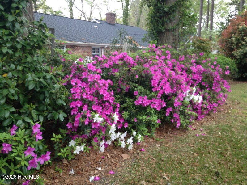 903 E Woodlawn Drive Property Photo 69