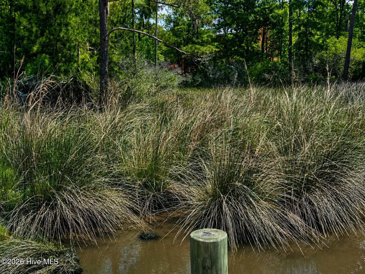 408 57 Tarpon Pointe Road Property Photo 9