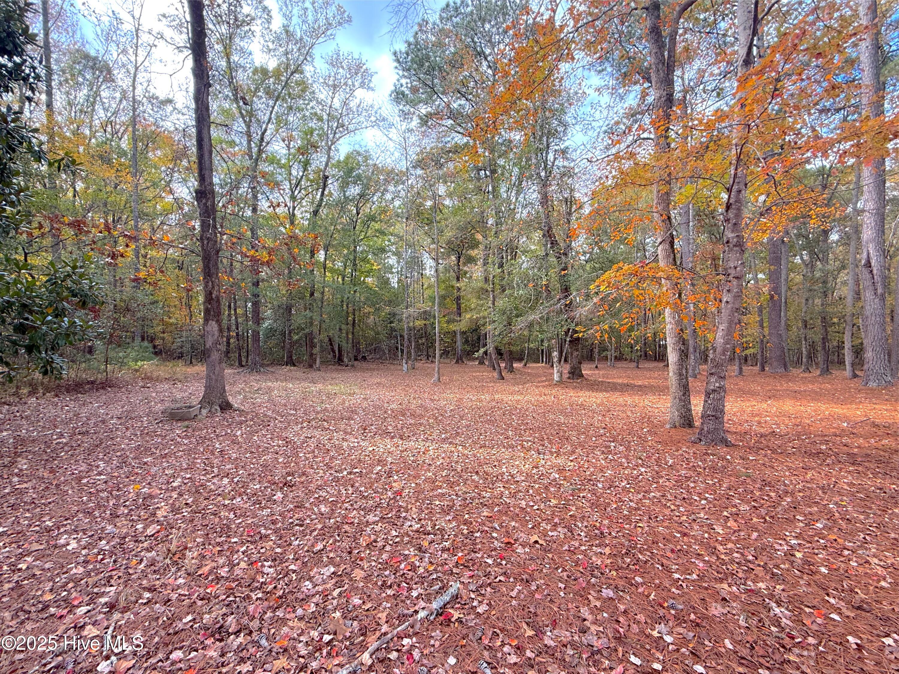 349 Barwick Drive Property Photo 62