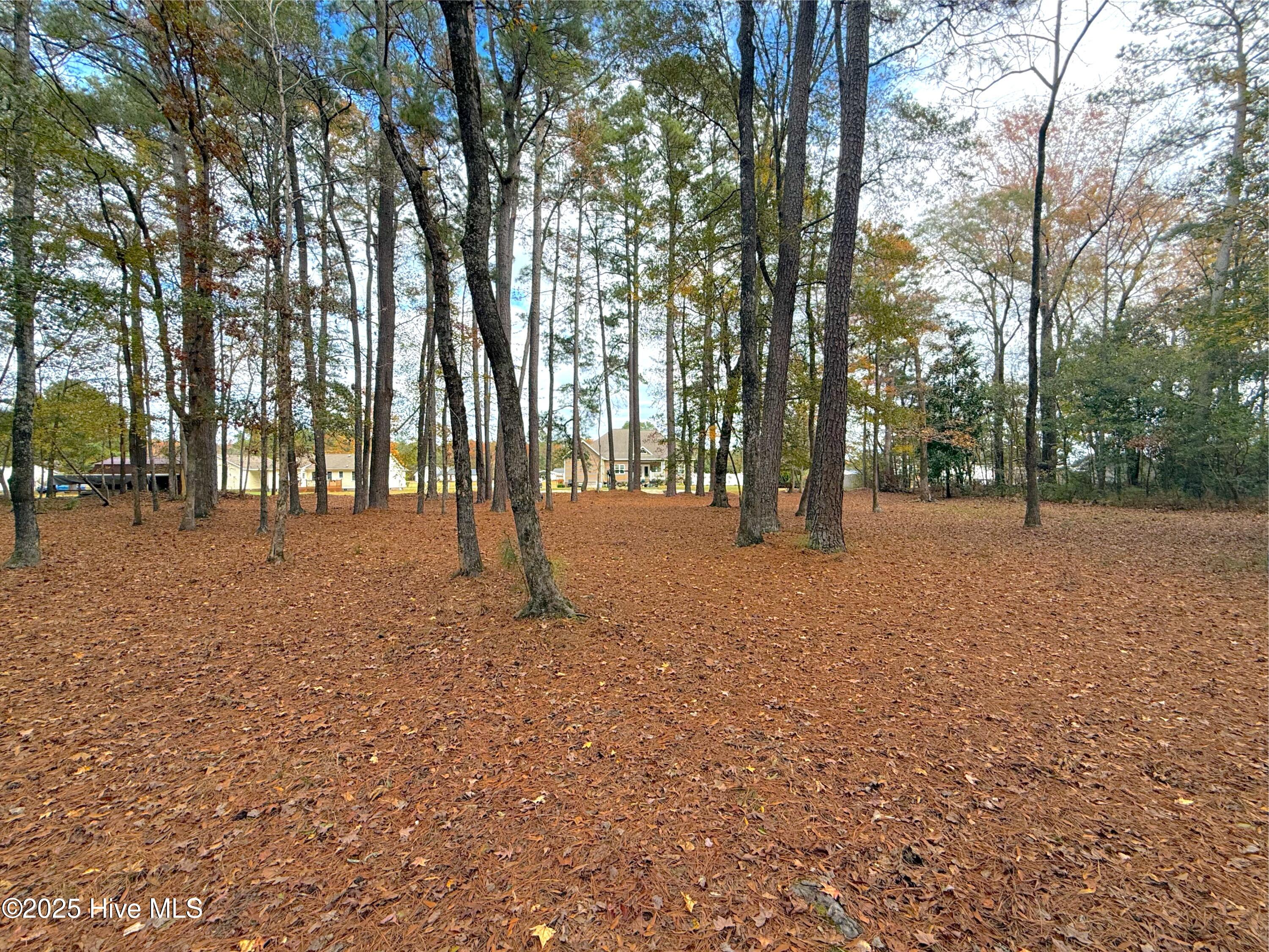 349 Barwick Drive Property Photo 63