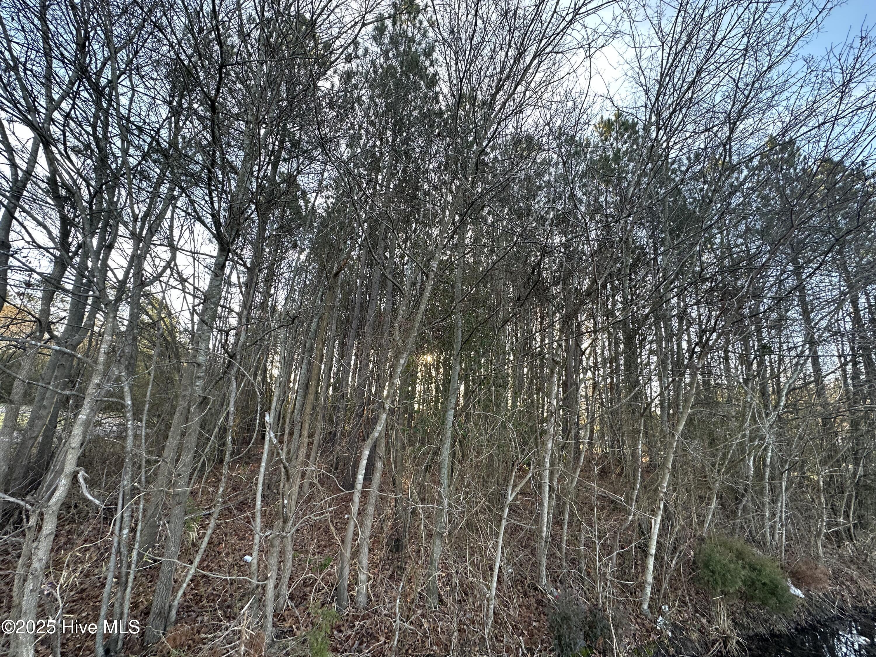 Tbd Pine Street Property Photo 2
