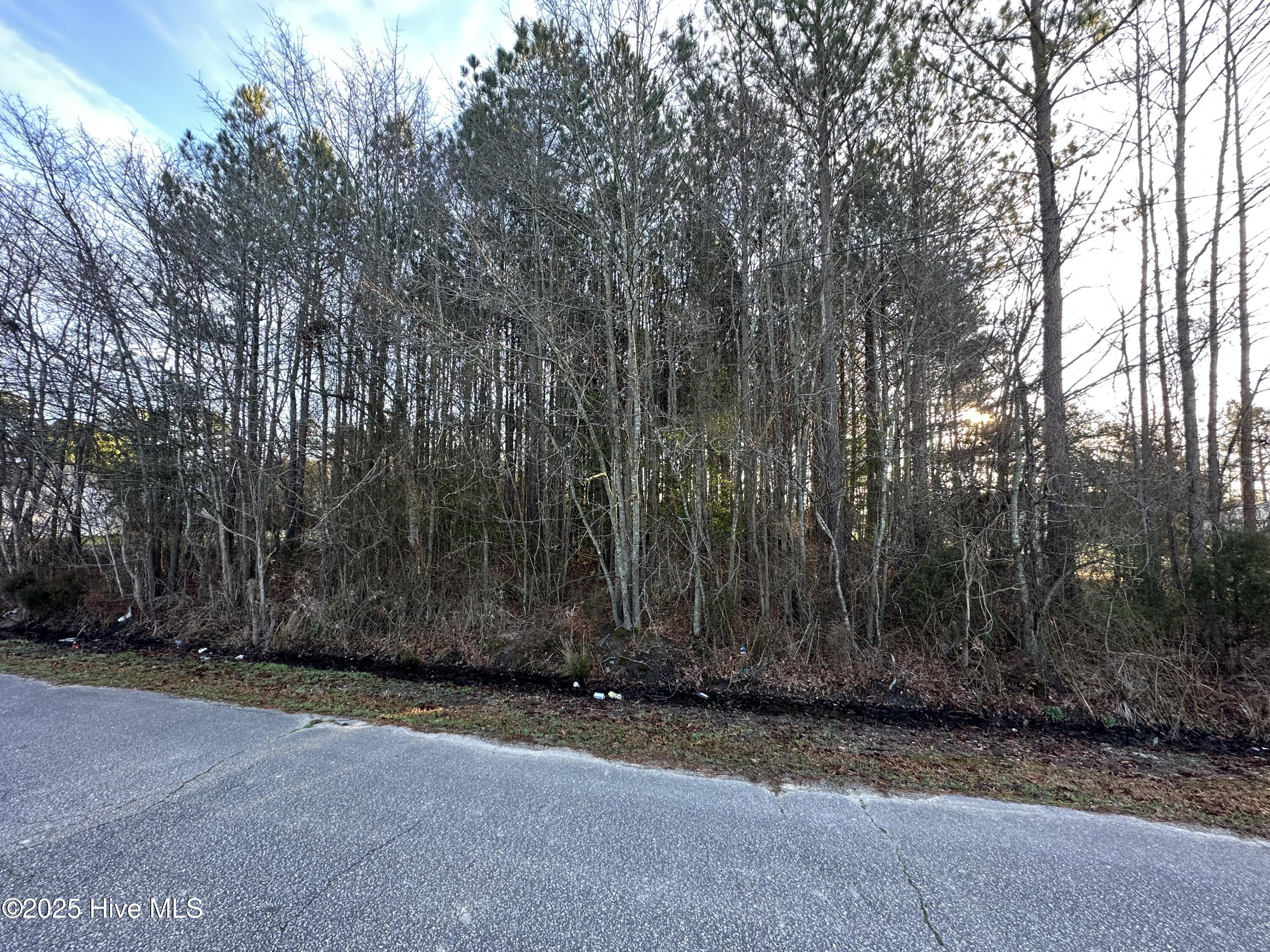 Tbd Pine Street Property Photo 3