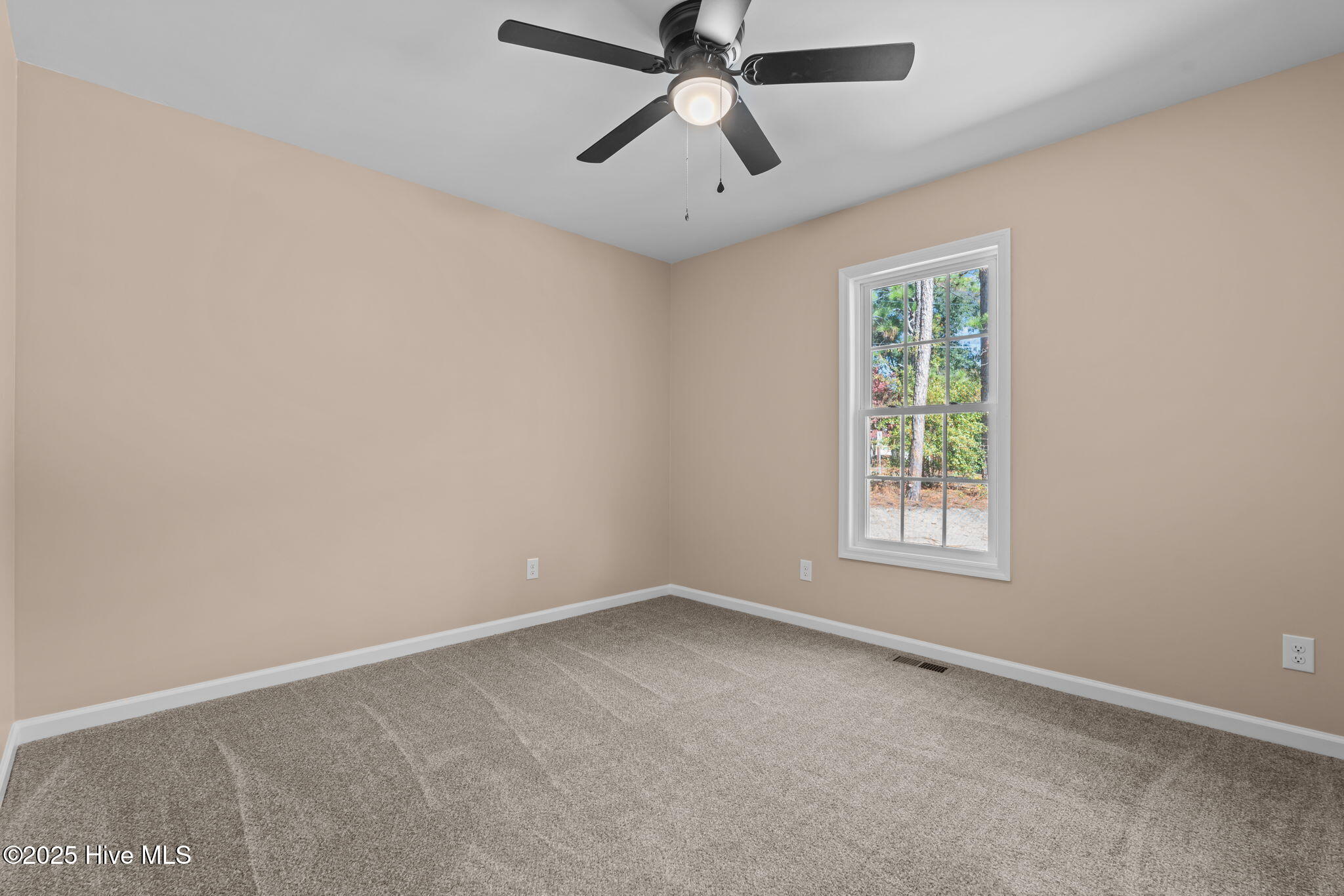 217 Beech Street Property Photo 25
