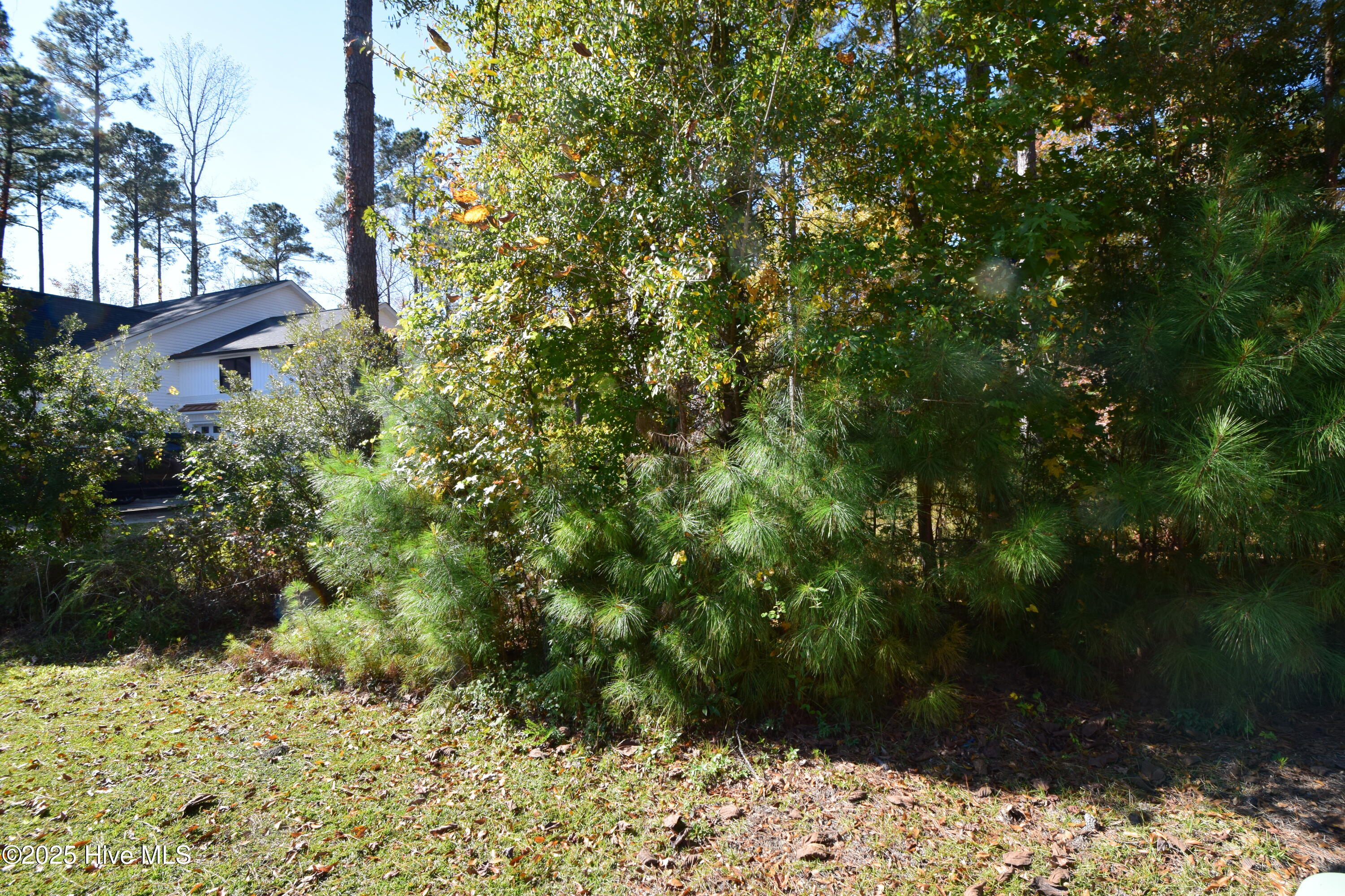 1005 16 Alabaster Drive Property Photo 3
