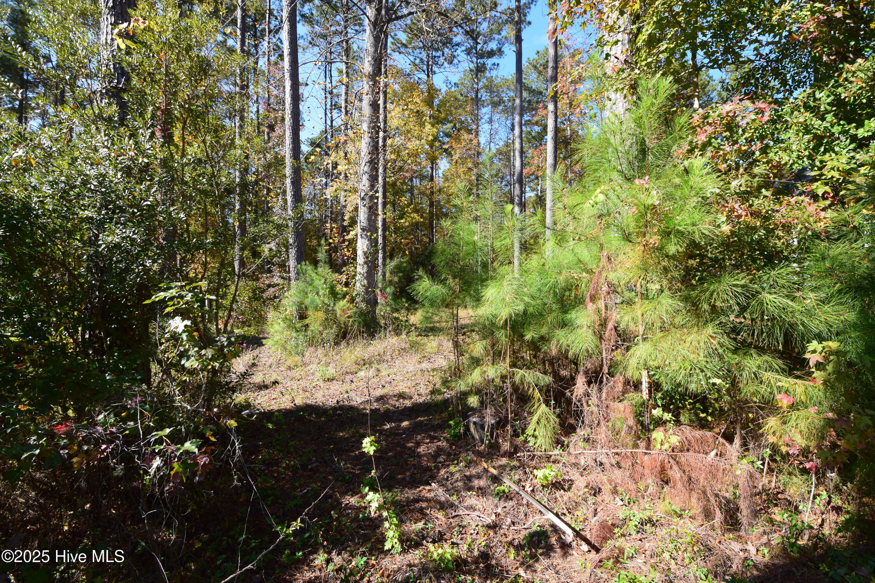 1005 16 Alabaster Drive Property Photo 4
