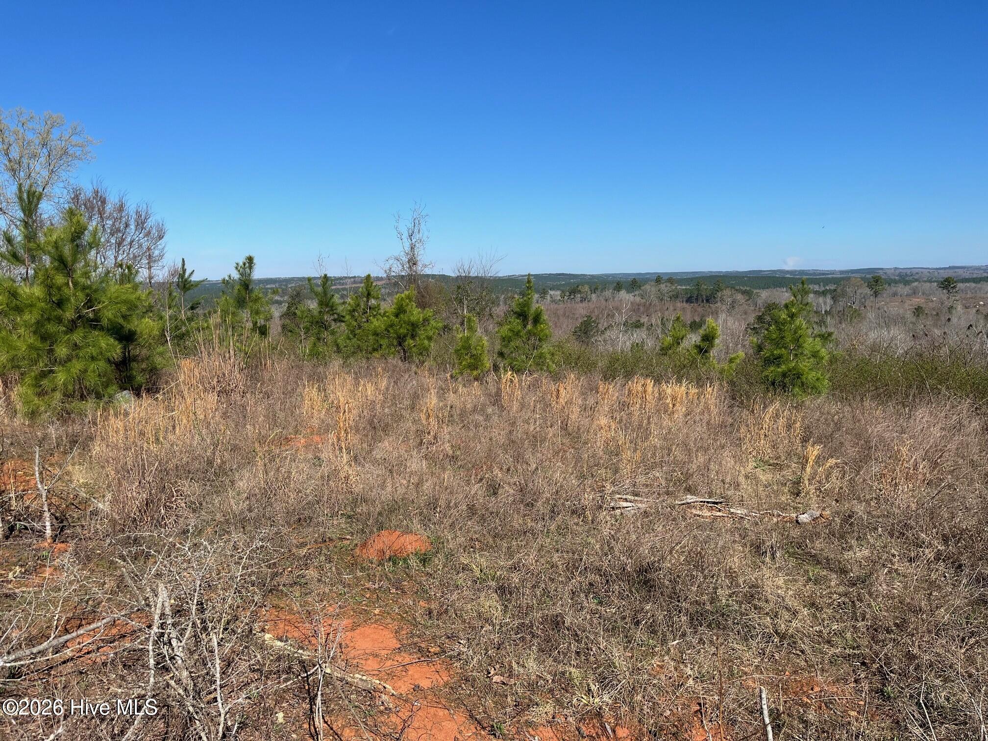 355.7 Horseshoe Road Property Photo 5