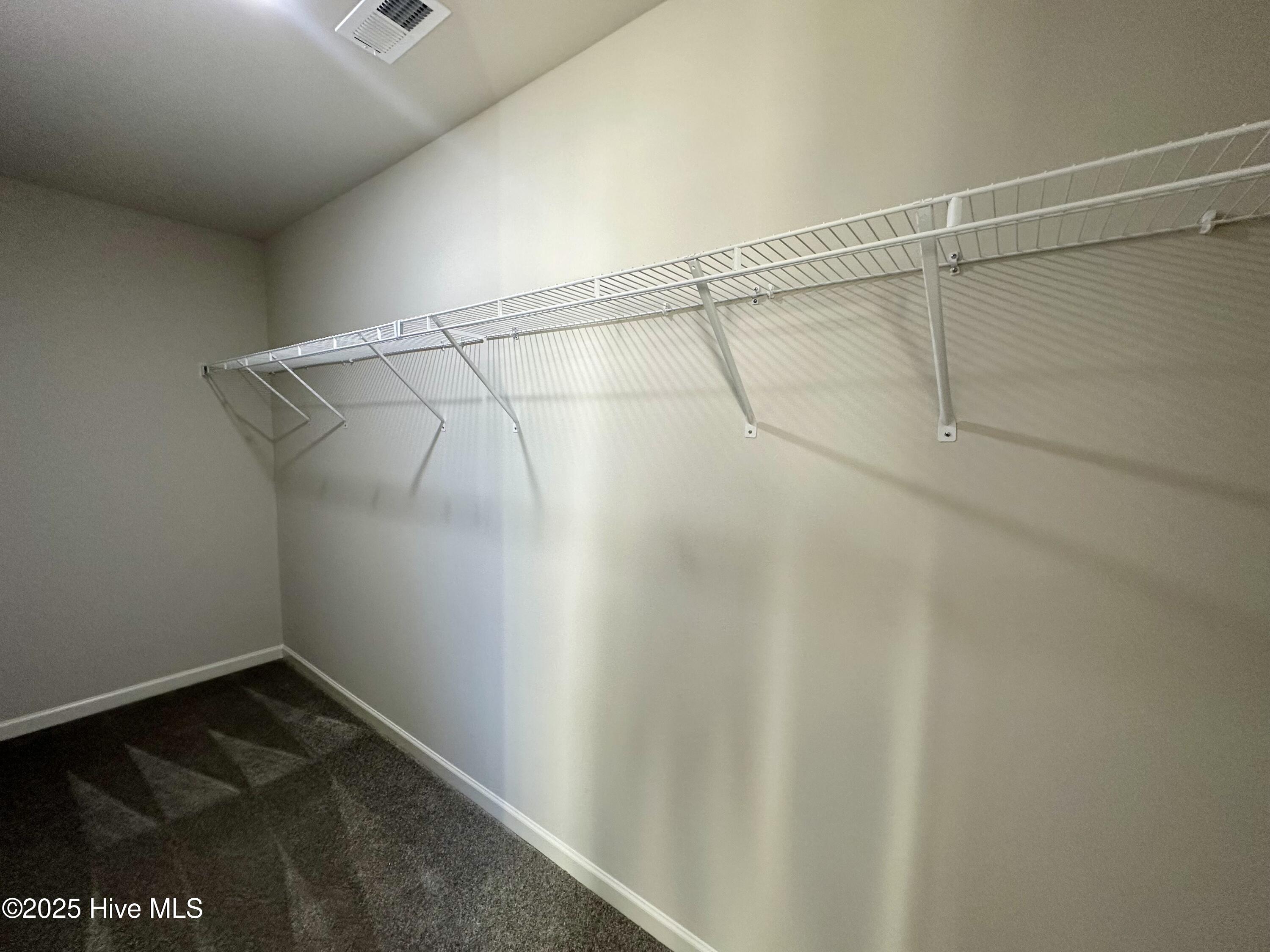110 Dees Meadow Lane Property Photo 13