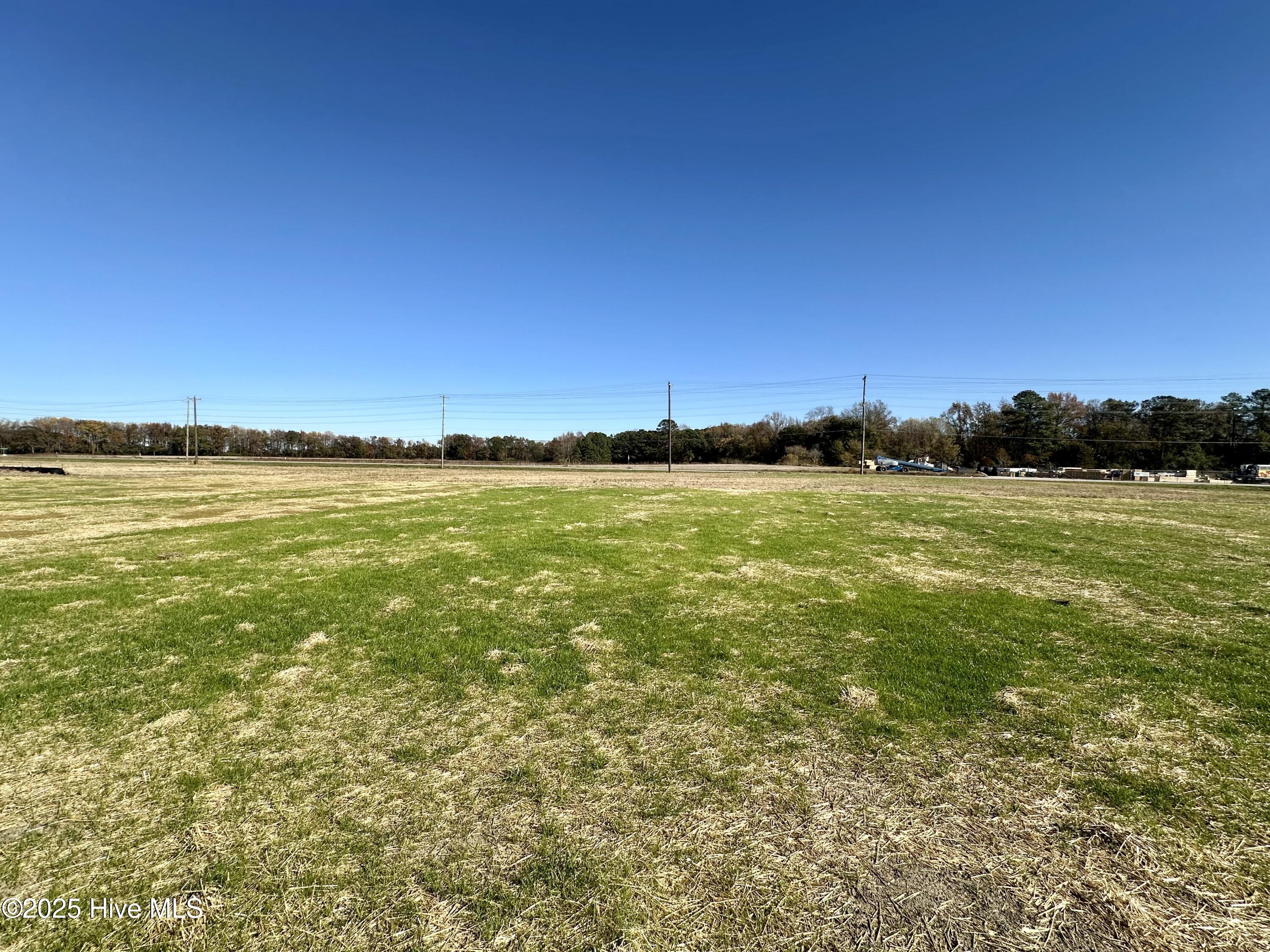 110 Dees Meadow Lane Property Photo 19