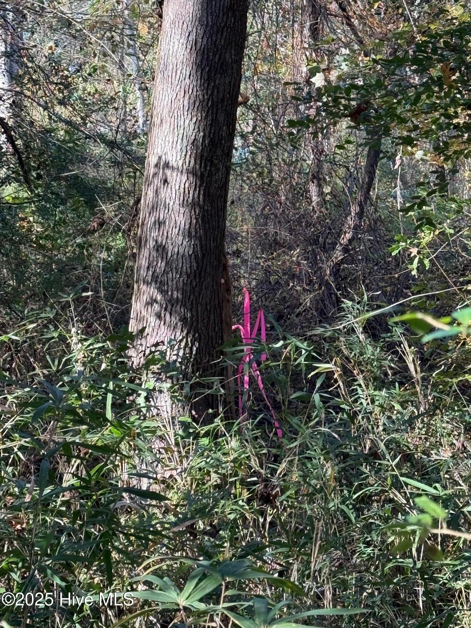 Lot 1 Alton Phillips Road Property Photo 6