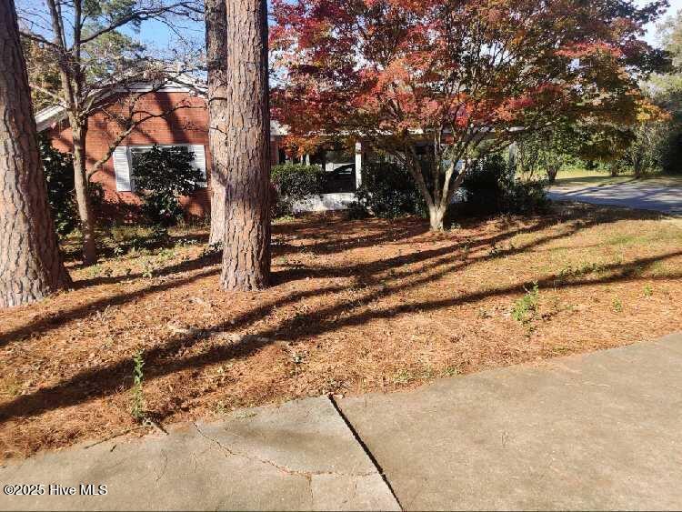 33 Gapway Road Property Photo 103