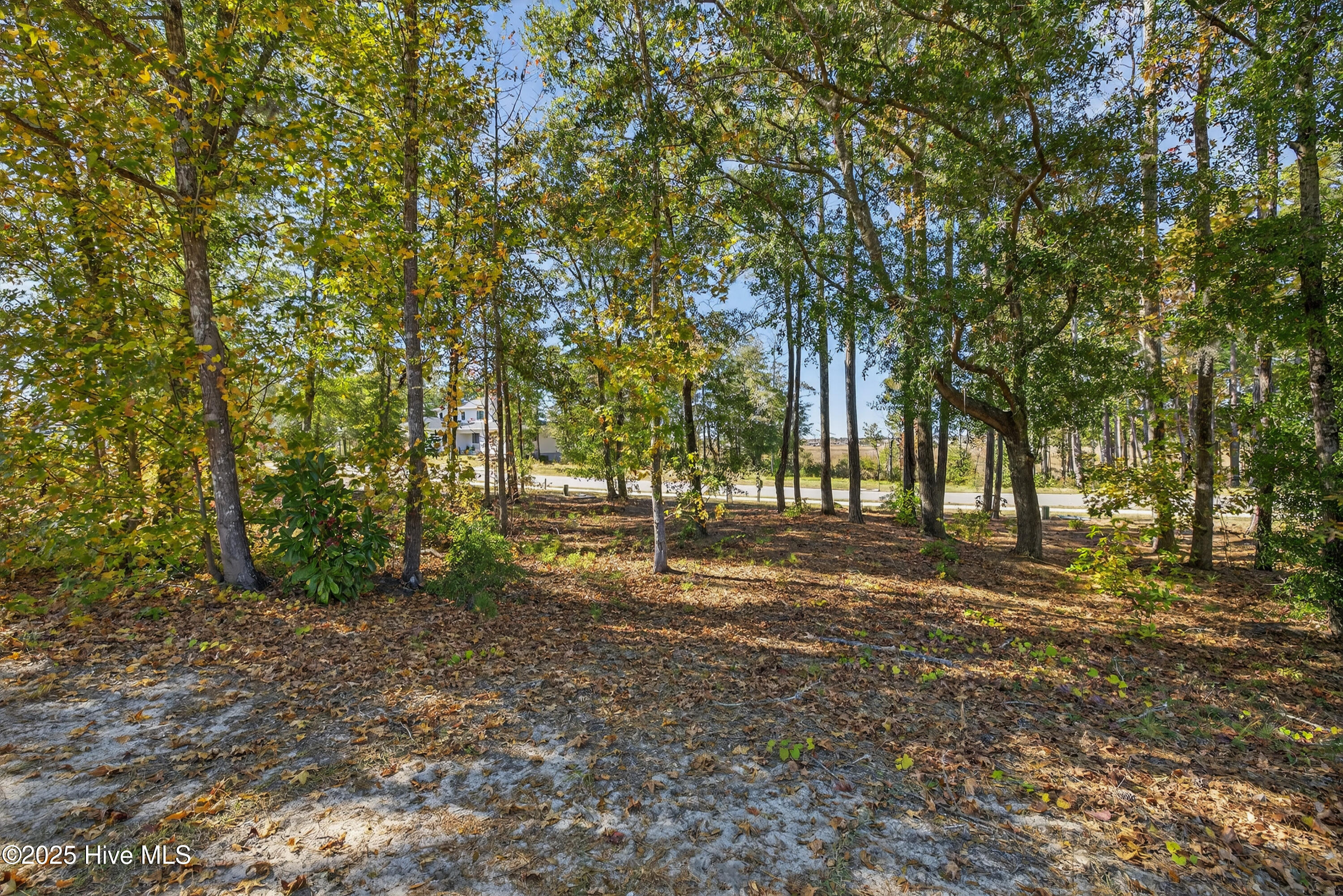 1536 35 Riverview Terrace Property Photo 10
