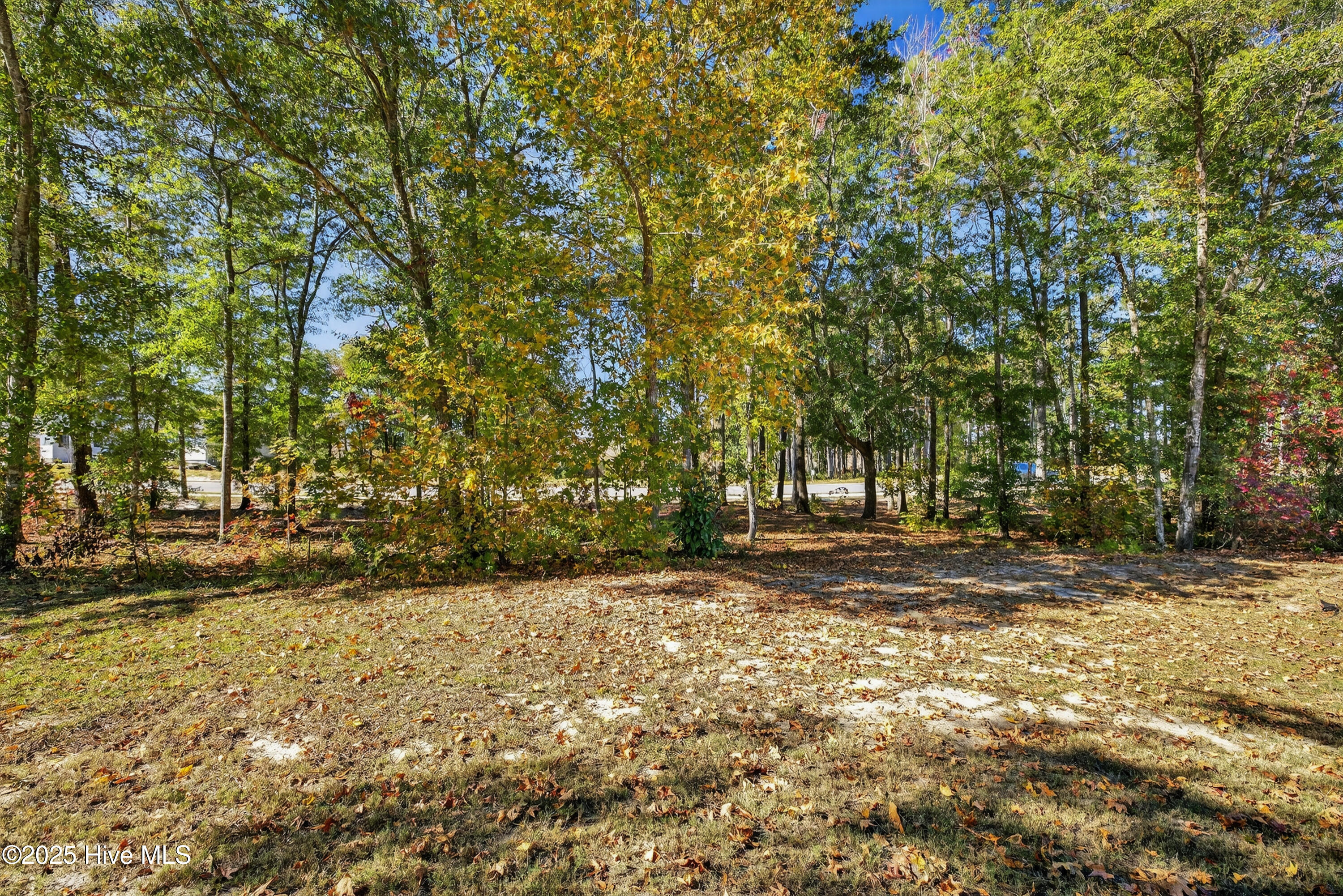 1536 35 Riverview Terrace Property Photo 11