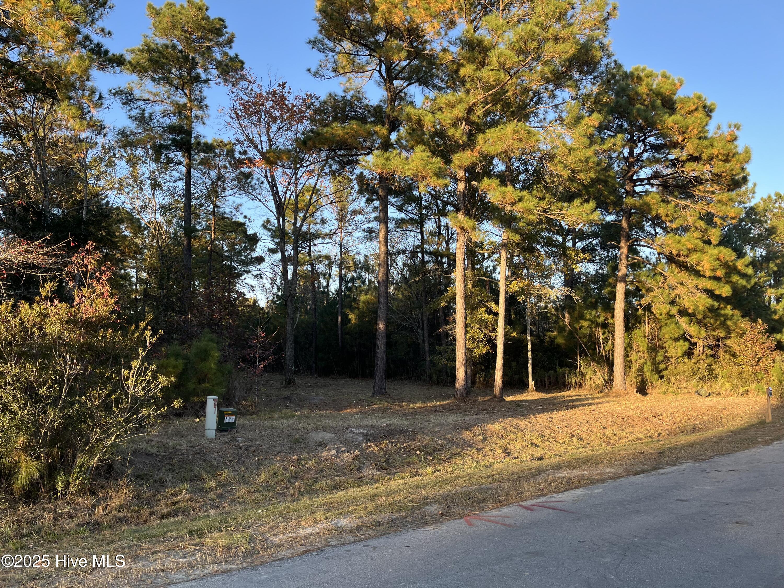 625 K04-6-7 Vandemere Creek Drive Property Photo 1