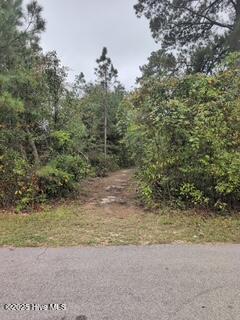 131 Powhatan Trail Property Photo 1
