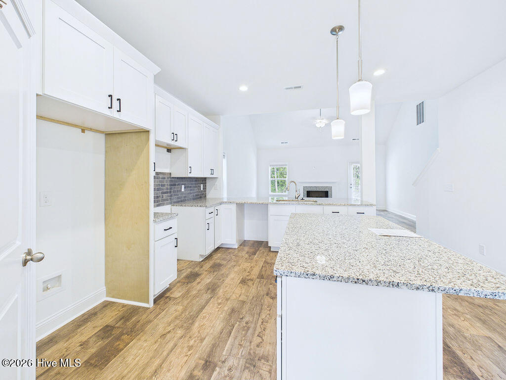 221 Telluride Court Property Photo 12