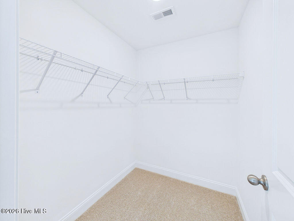 221 Telluride Court Property Photo 32