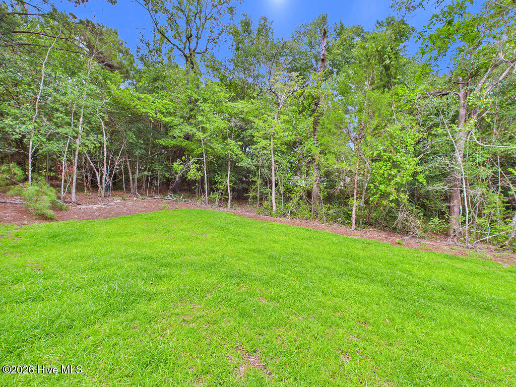 221 Telluride Court Property Photo 38