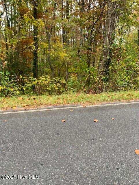 Tbd Swains Mill Road Property Photo 2