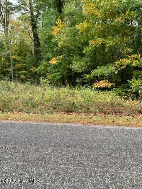 Tbd Swains Mill Road Property Photo 5