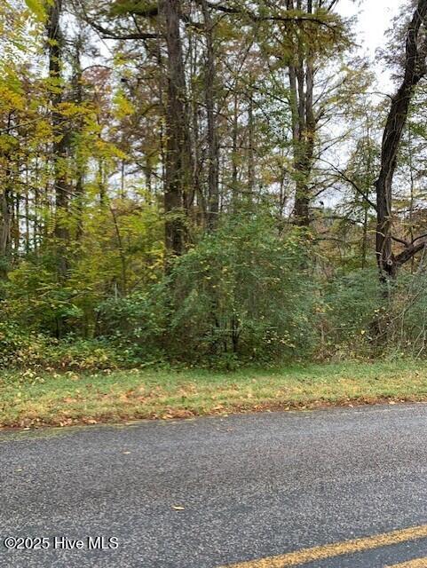 Tbd Swains Mill Road Property Photo 6