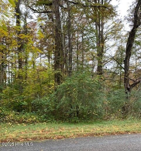 Tbd Swains Mill Road Property Photo 8
