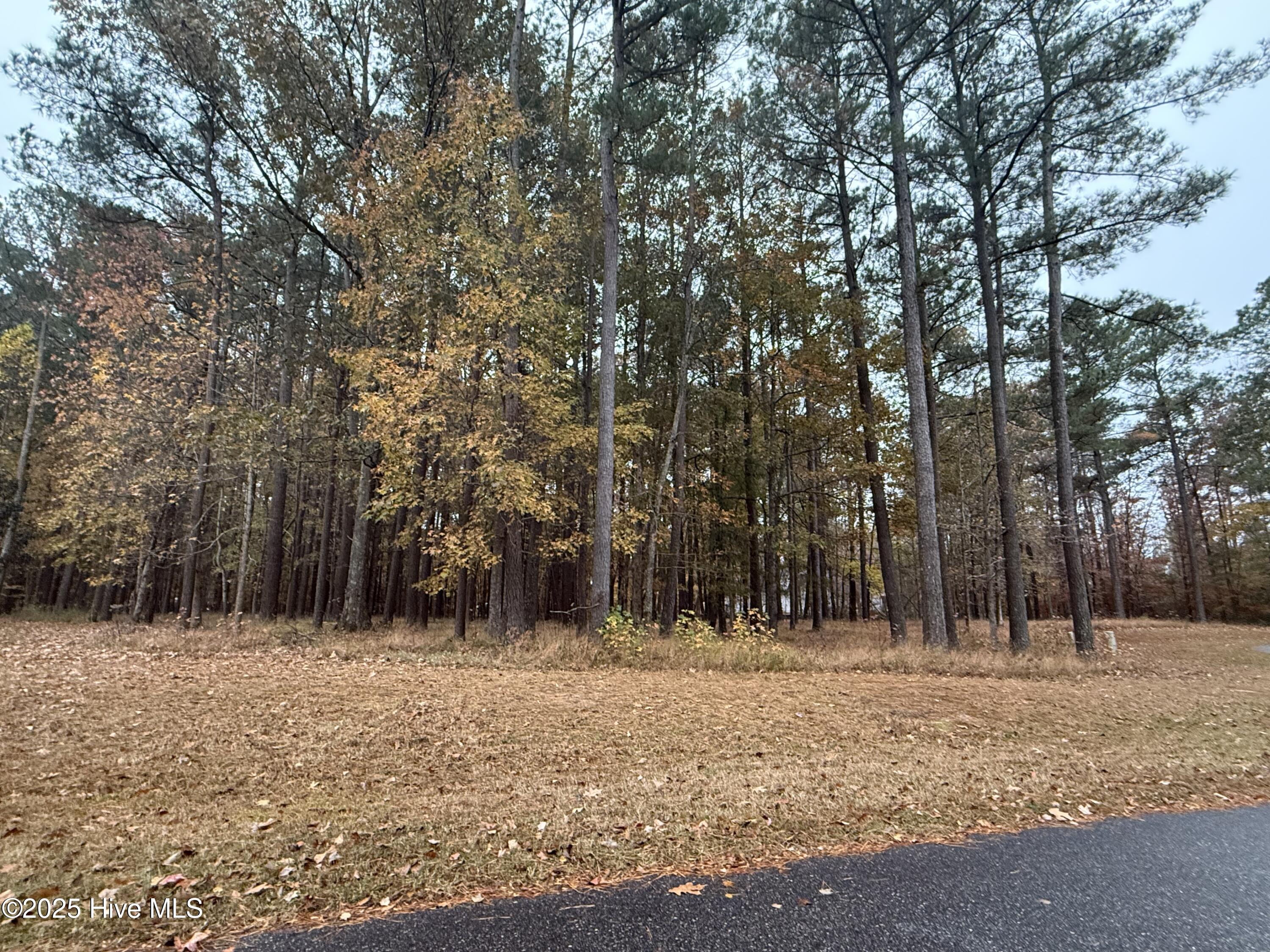 13 Mattaponi Drive Property Photo 1