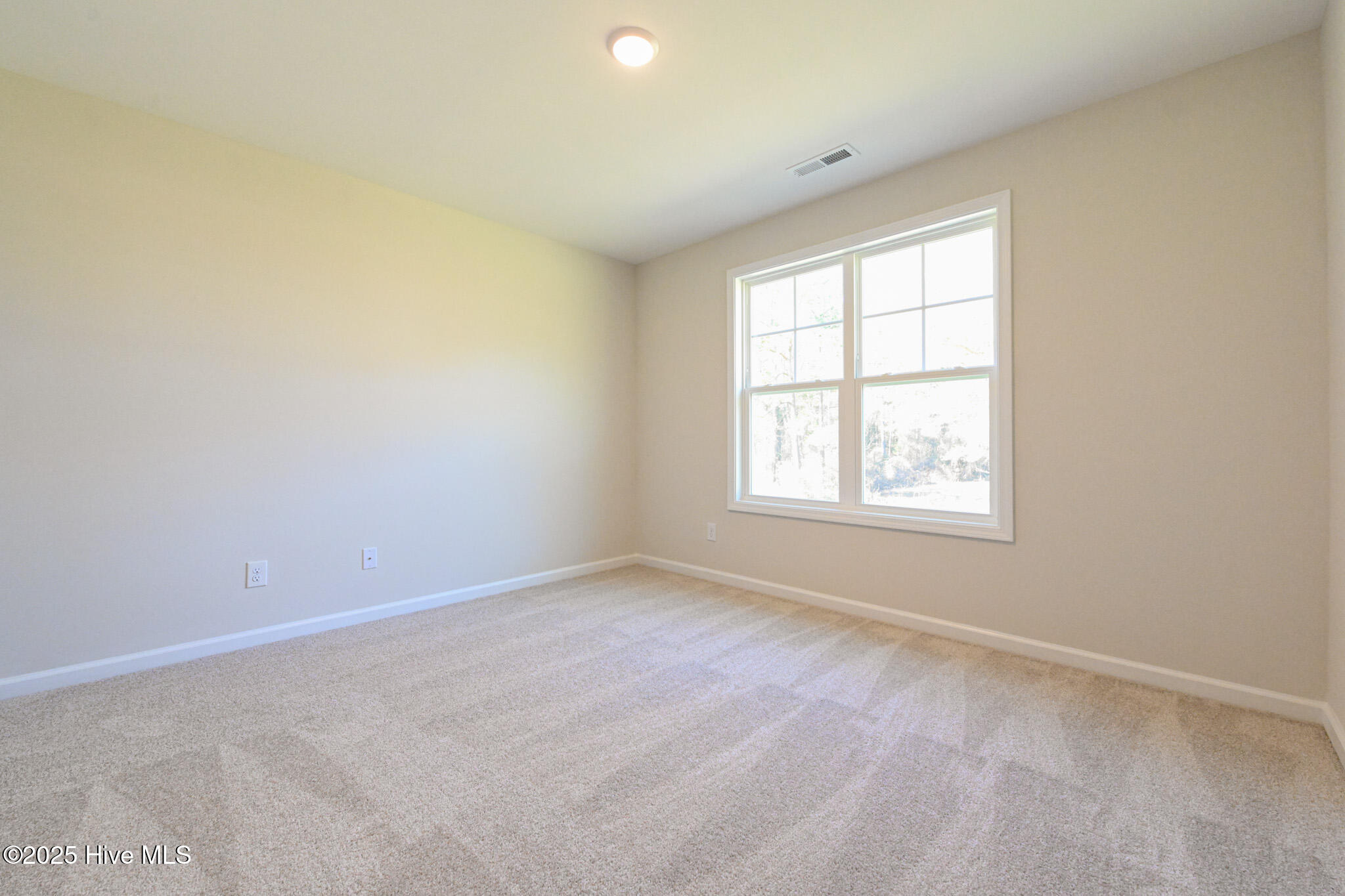 209 Hill Valley Drive (lot #58) Property Photo 23