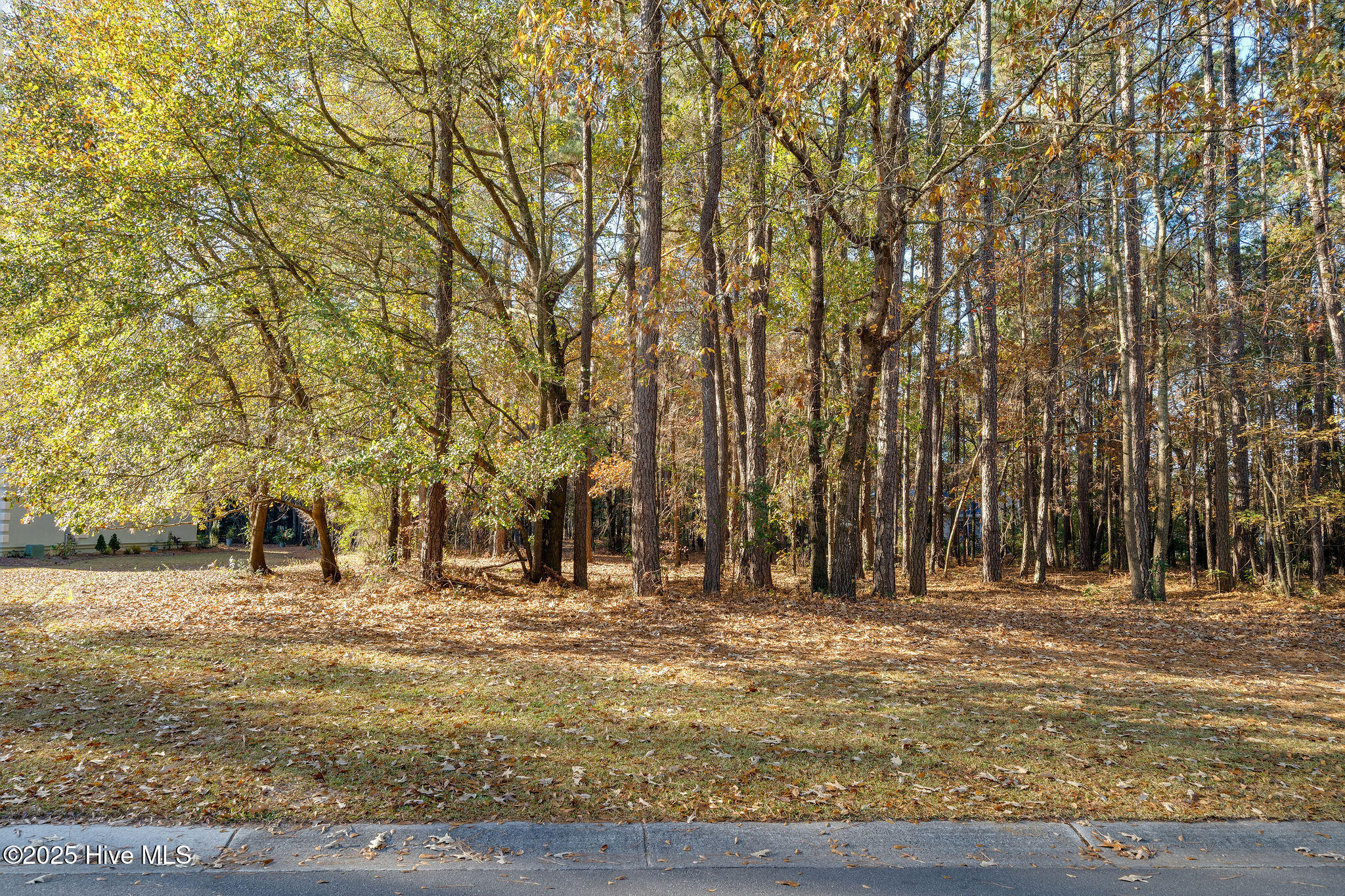 266 102 Red Fox Run Drive Property Photo 1