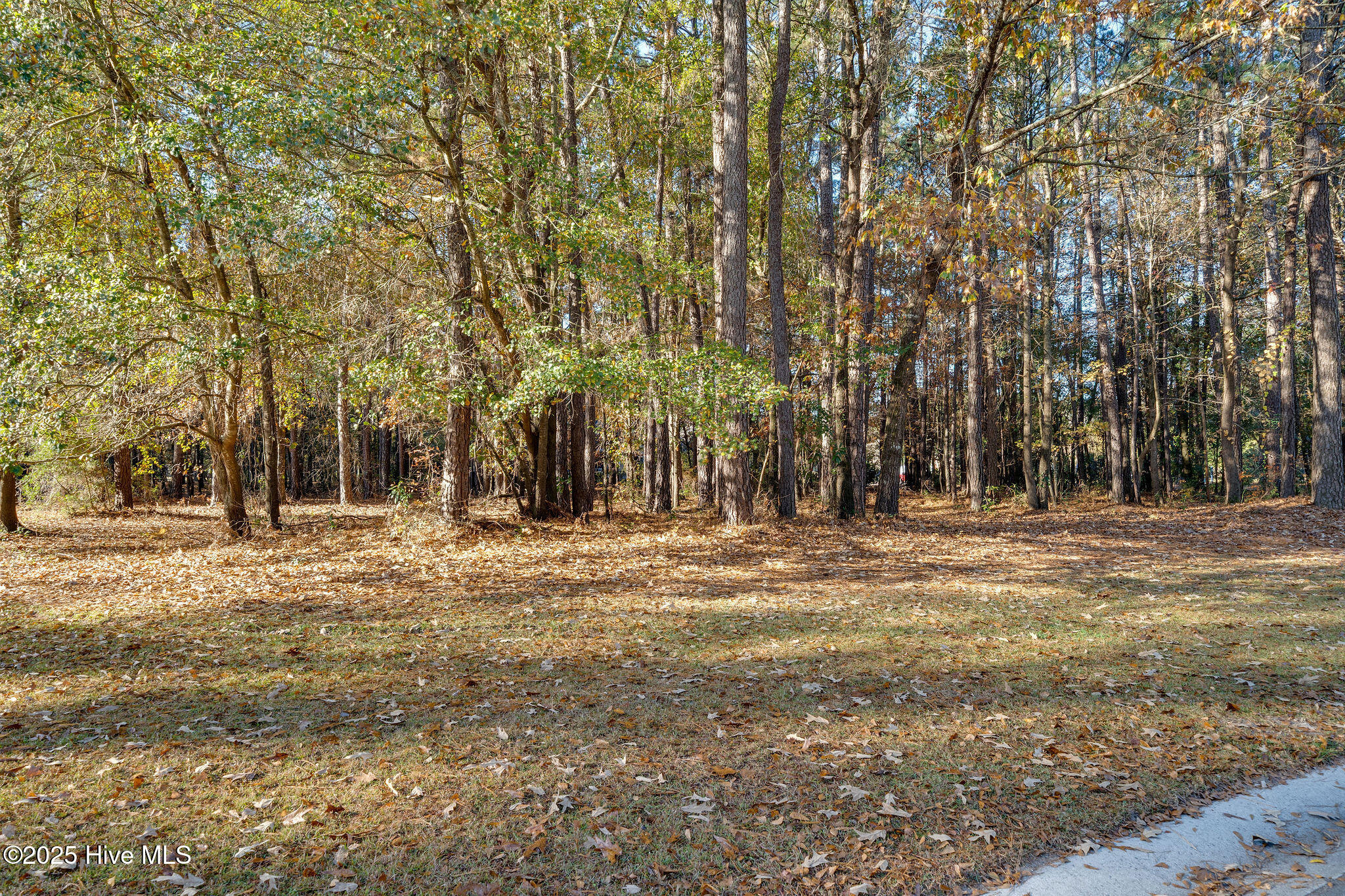 266 102 Red Fox Run Drive Property Photo 2