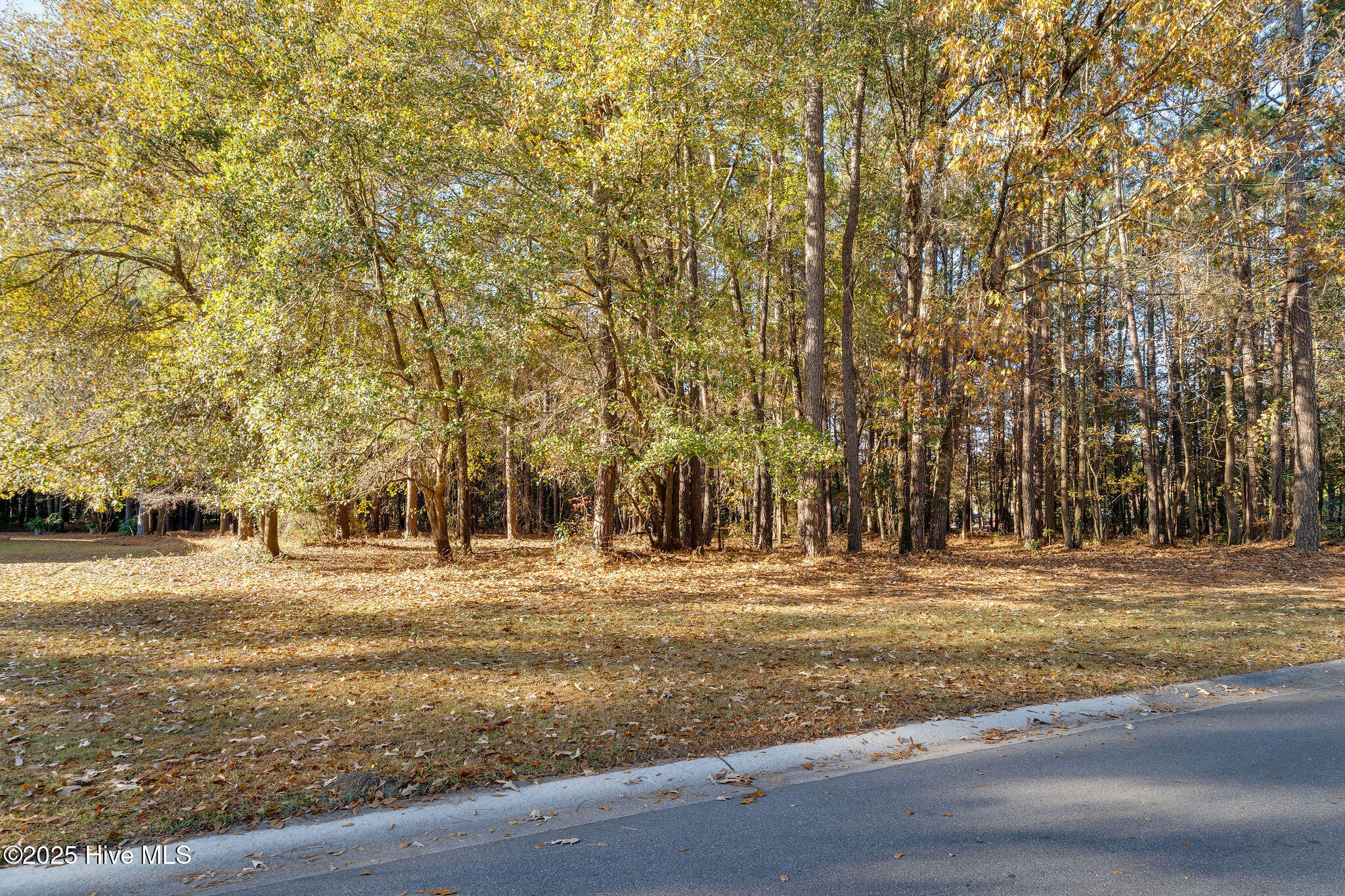 266 102 Red Fox Run Drive Property Photo 3