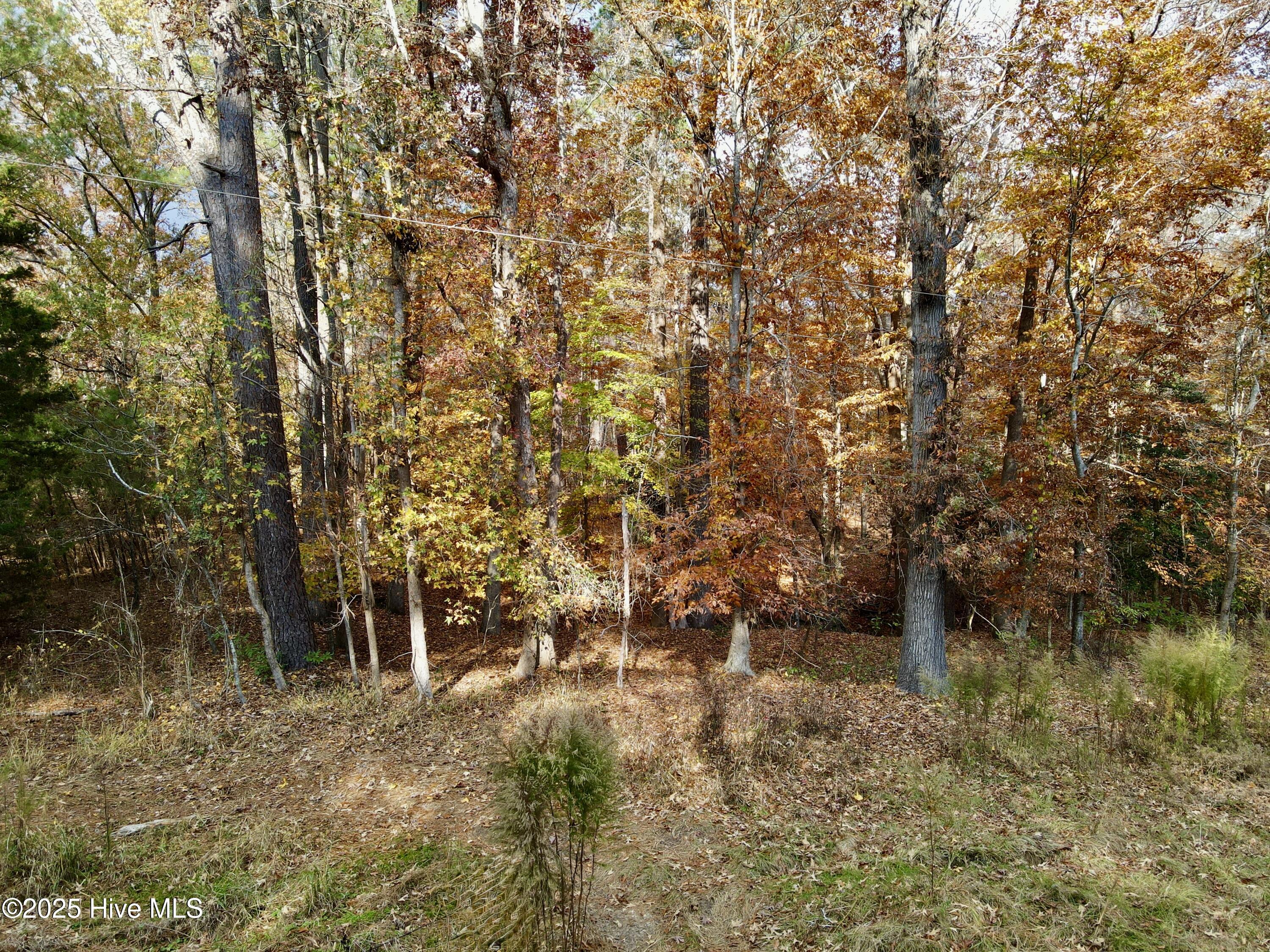 0 Williams Road Property Photo 9