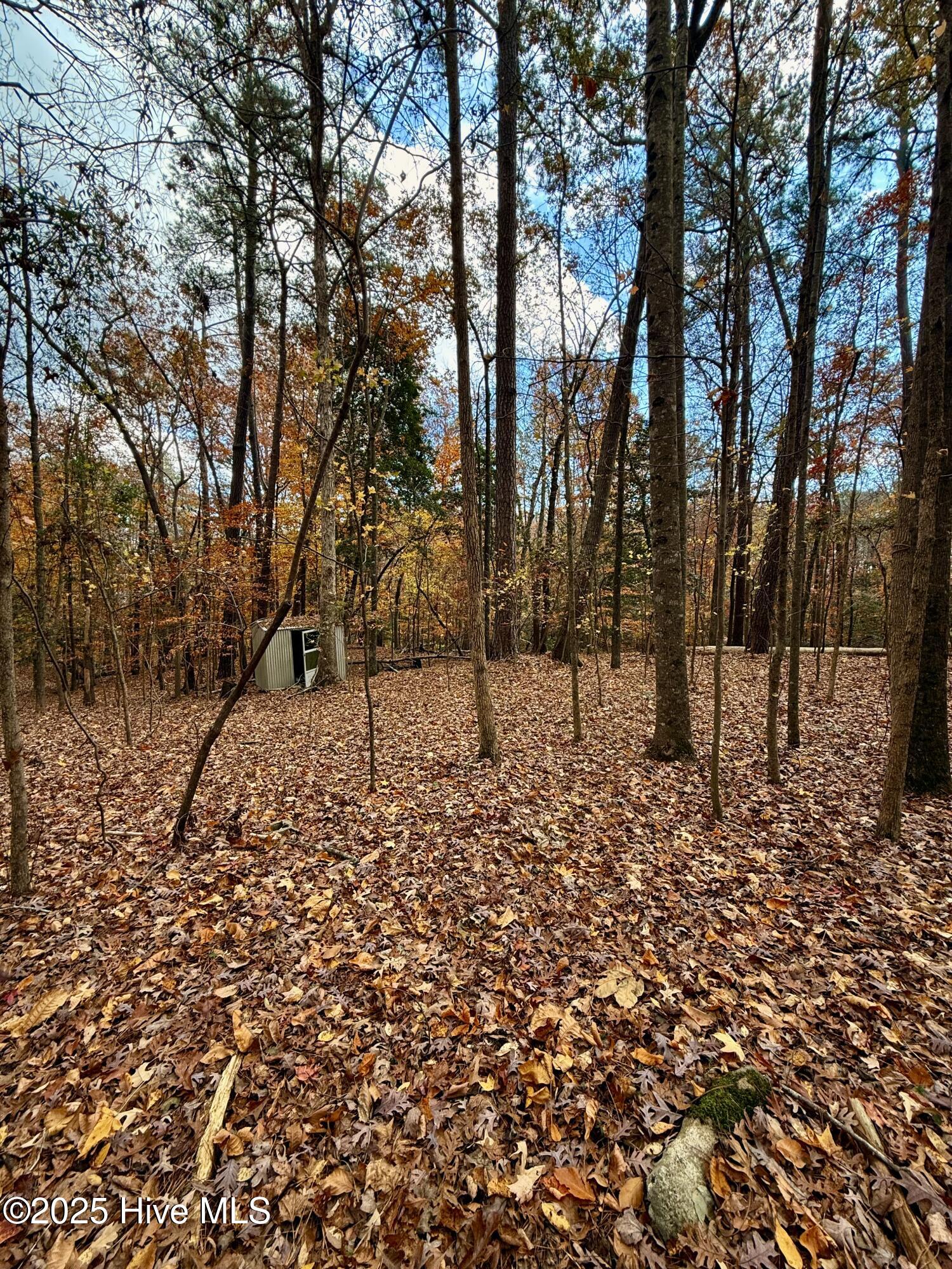 0 Williams Road Property Photo 16