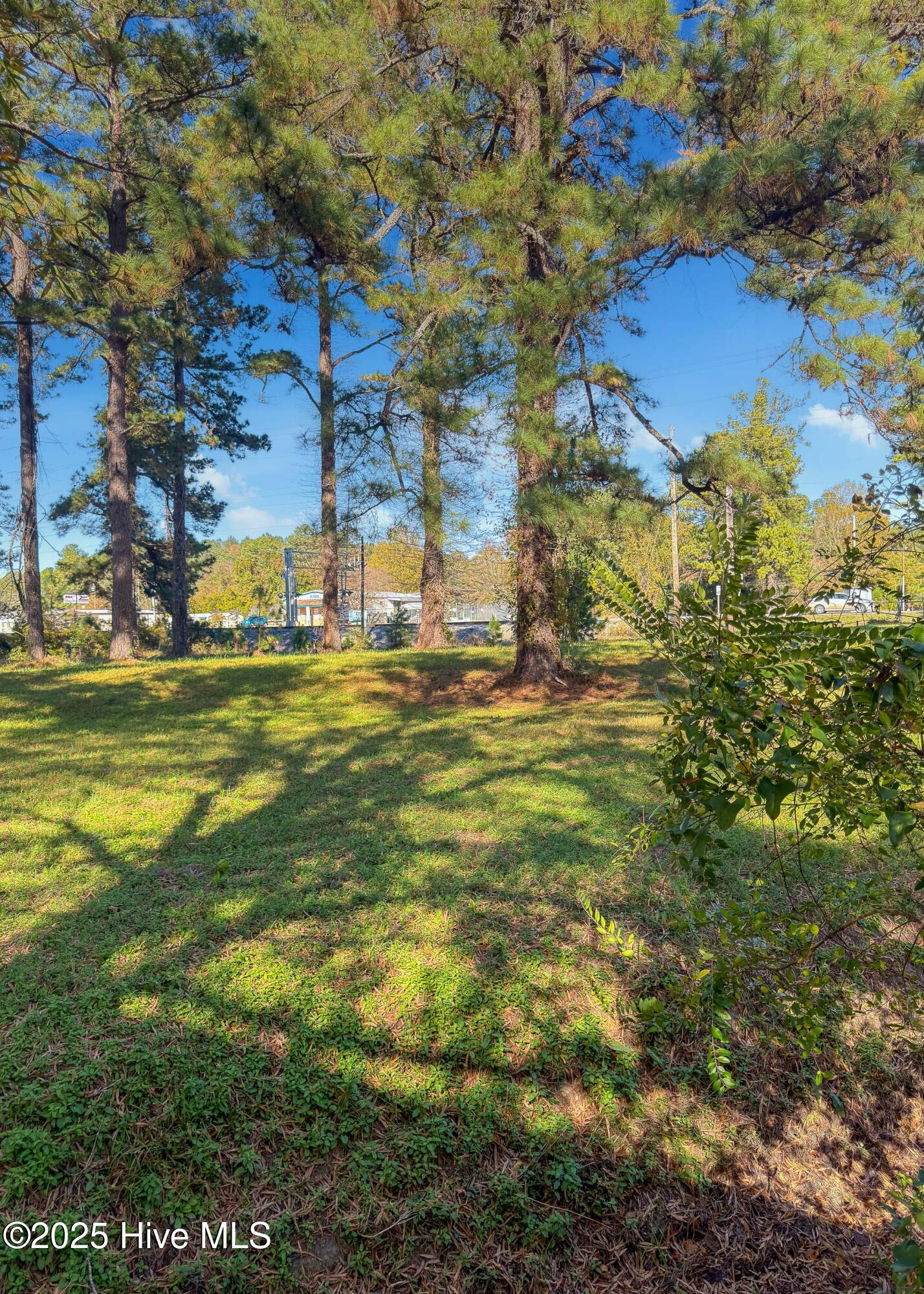 3101 Neuse Boulevard Property Photo 13