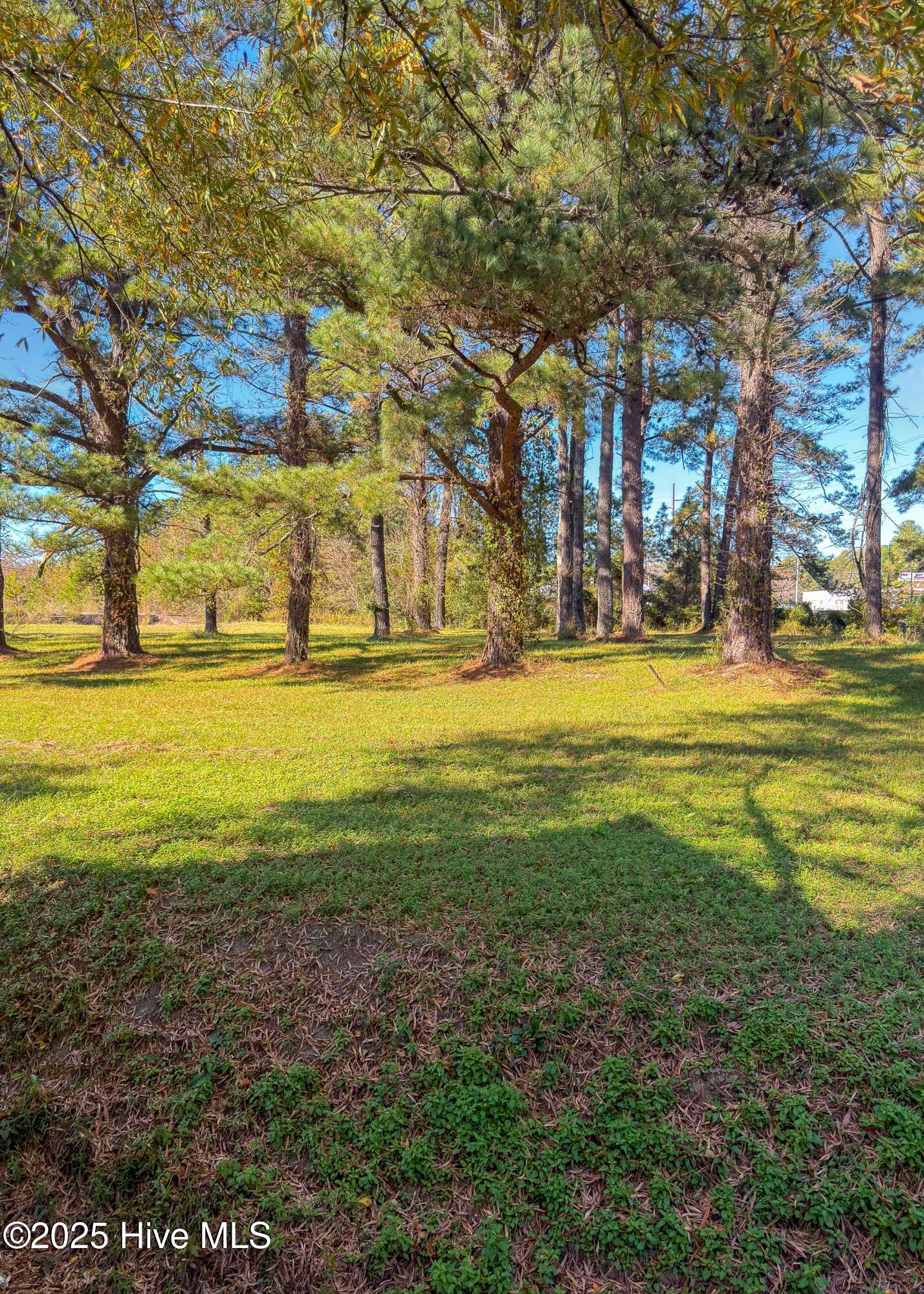 3101 Neuse Boulevard Property Photo 15