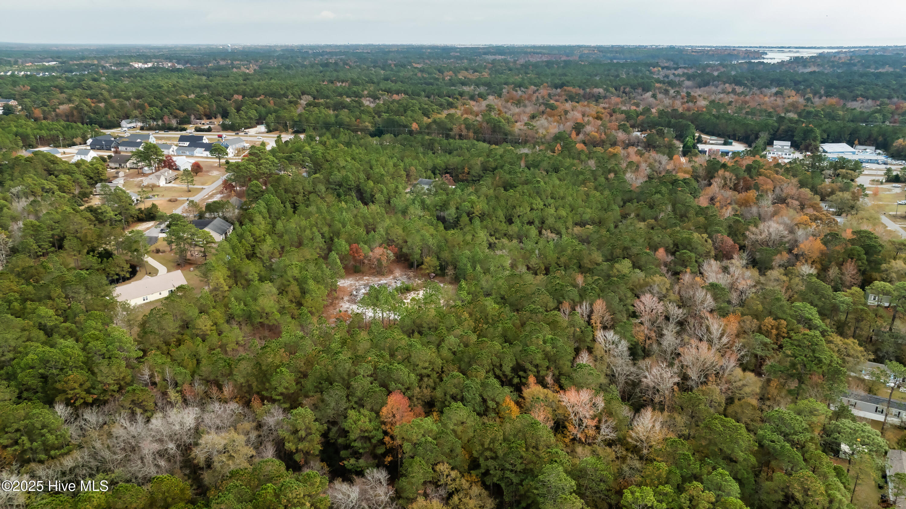 21801 Us-17 Property Photo 35