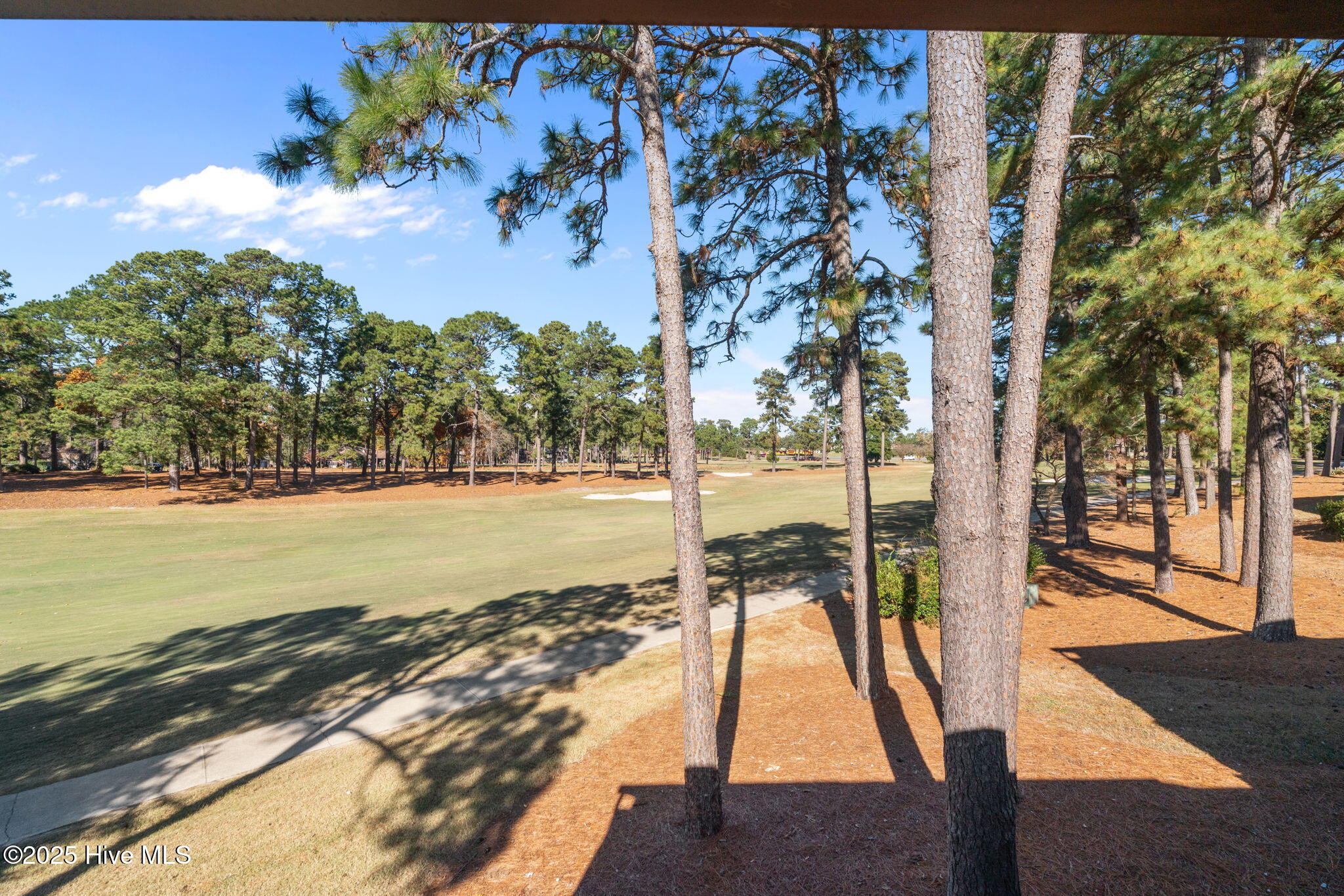800 Saint Andrews Drive # 232 Property Photo 7