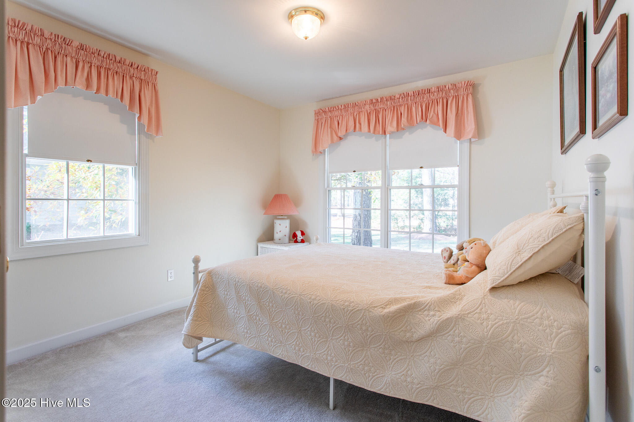 122 Waccamaw Drive Property Photo 46