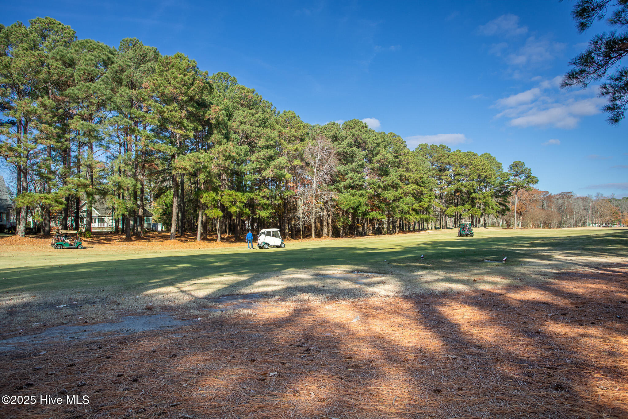 122 Waccamaw Drive Property Photo 60