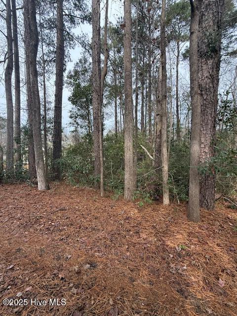 8 8 North Drive Property Photo 7