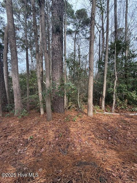 8 8 North Drive Property Photo 8
