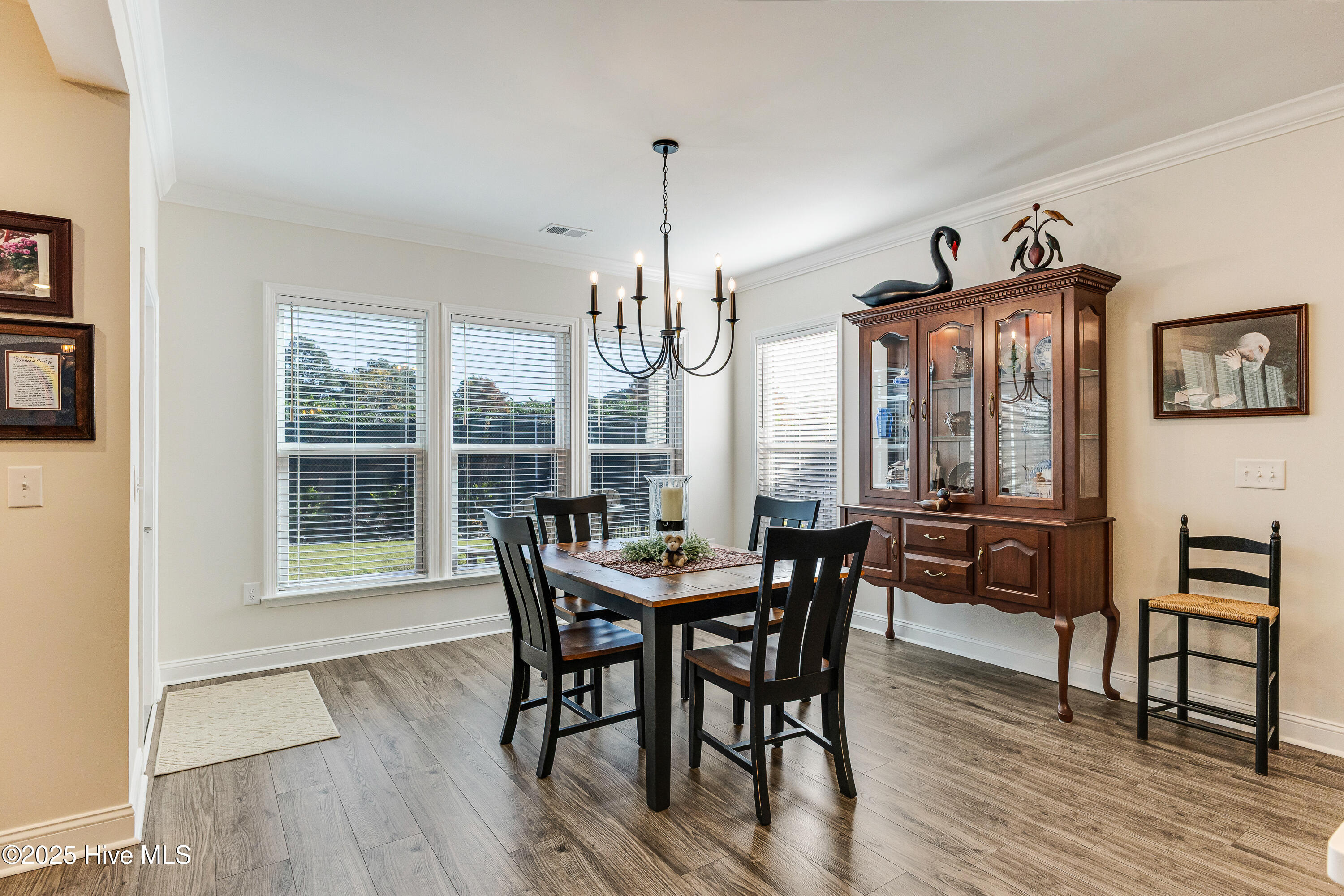113 Eagle Claw Drive Property Photo 10