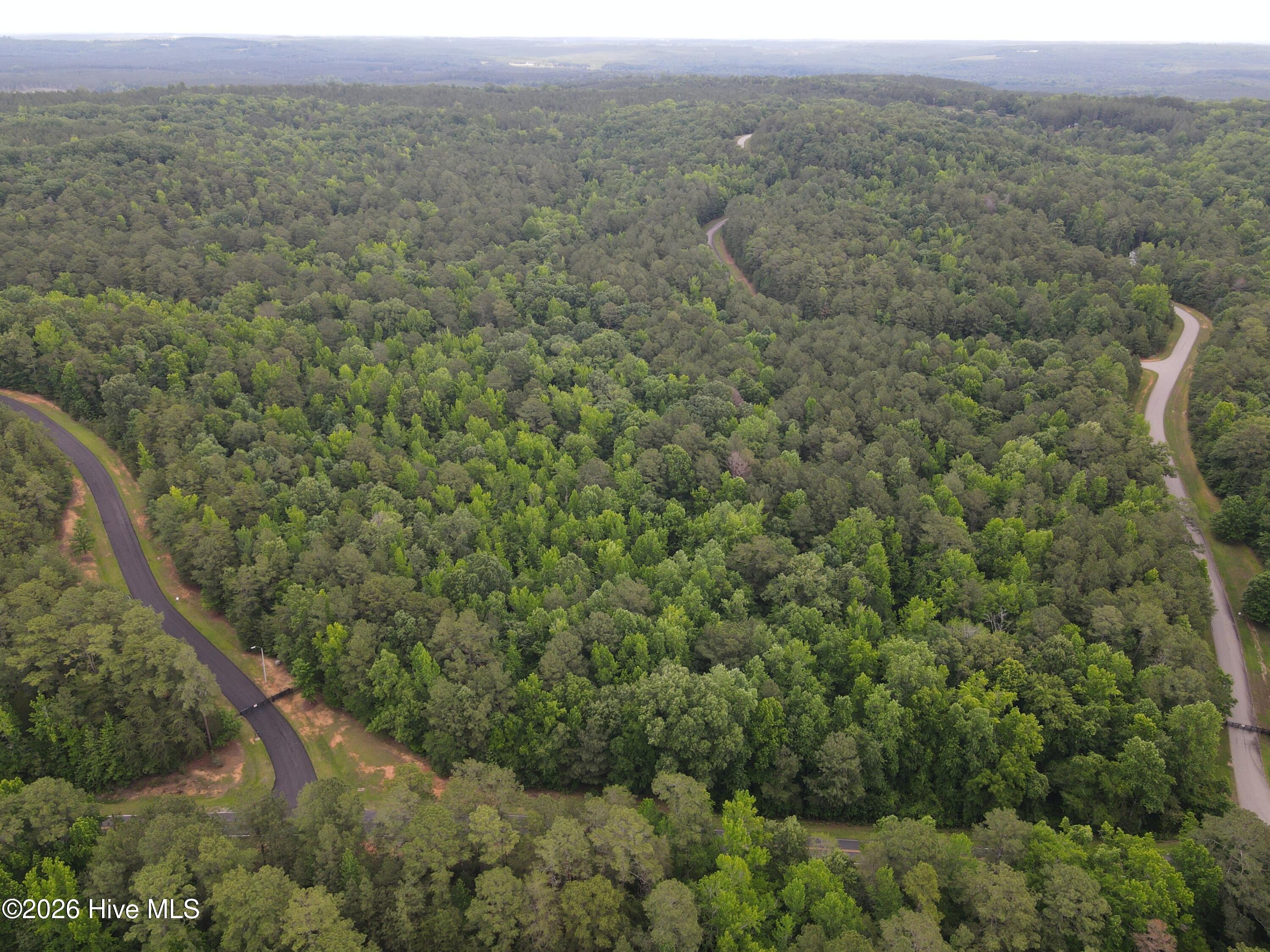 114 88 Lake View Pass Property Photo 6