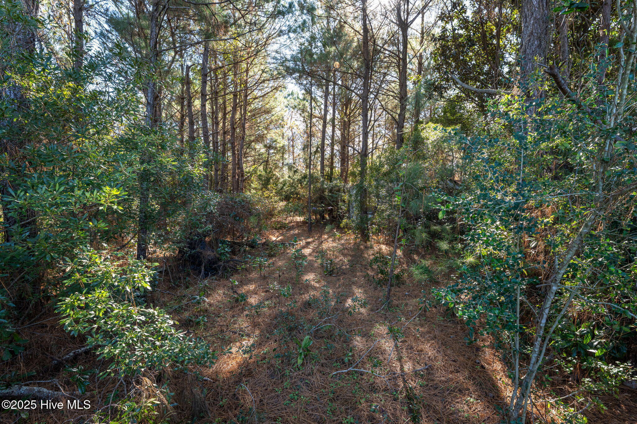 24324 Us Highway 17 Property Photo 4
